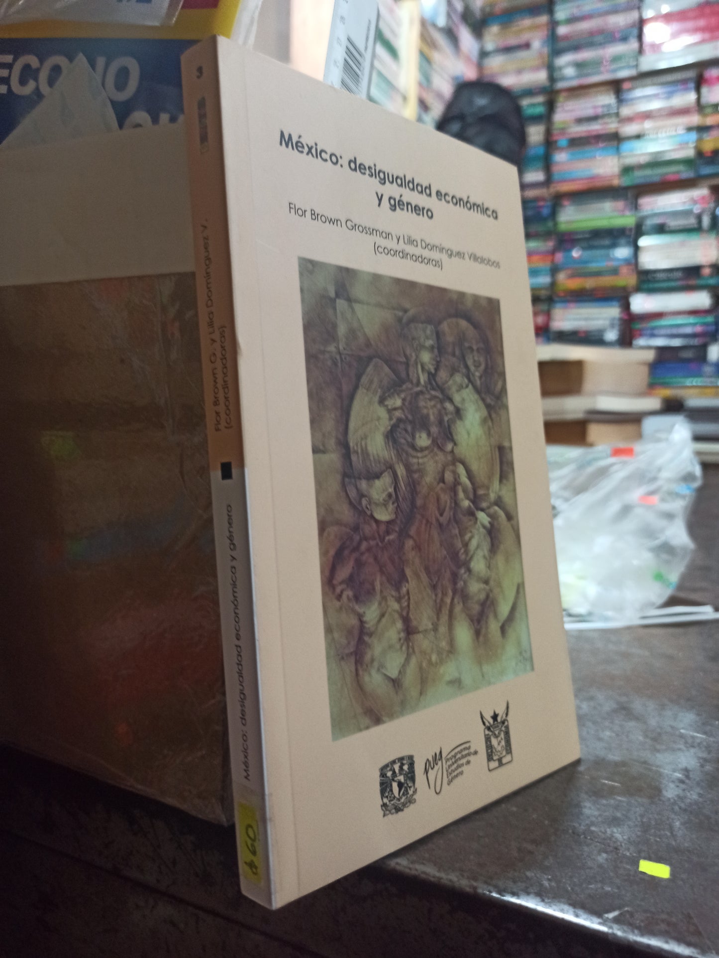 MEXICO DESIGUALDAD ECONOMICA Y GENERO POR FLOR BROWN G. USADO SOCIOLOGÍA ALDAMA