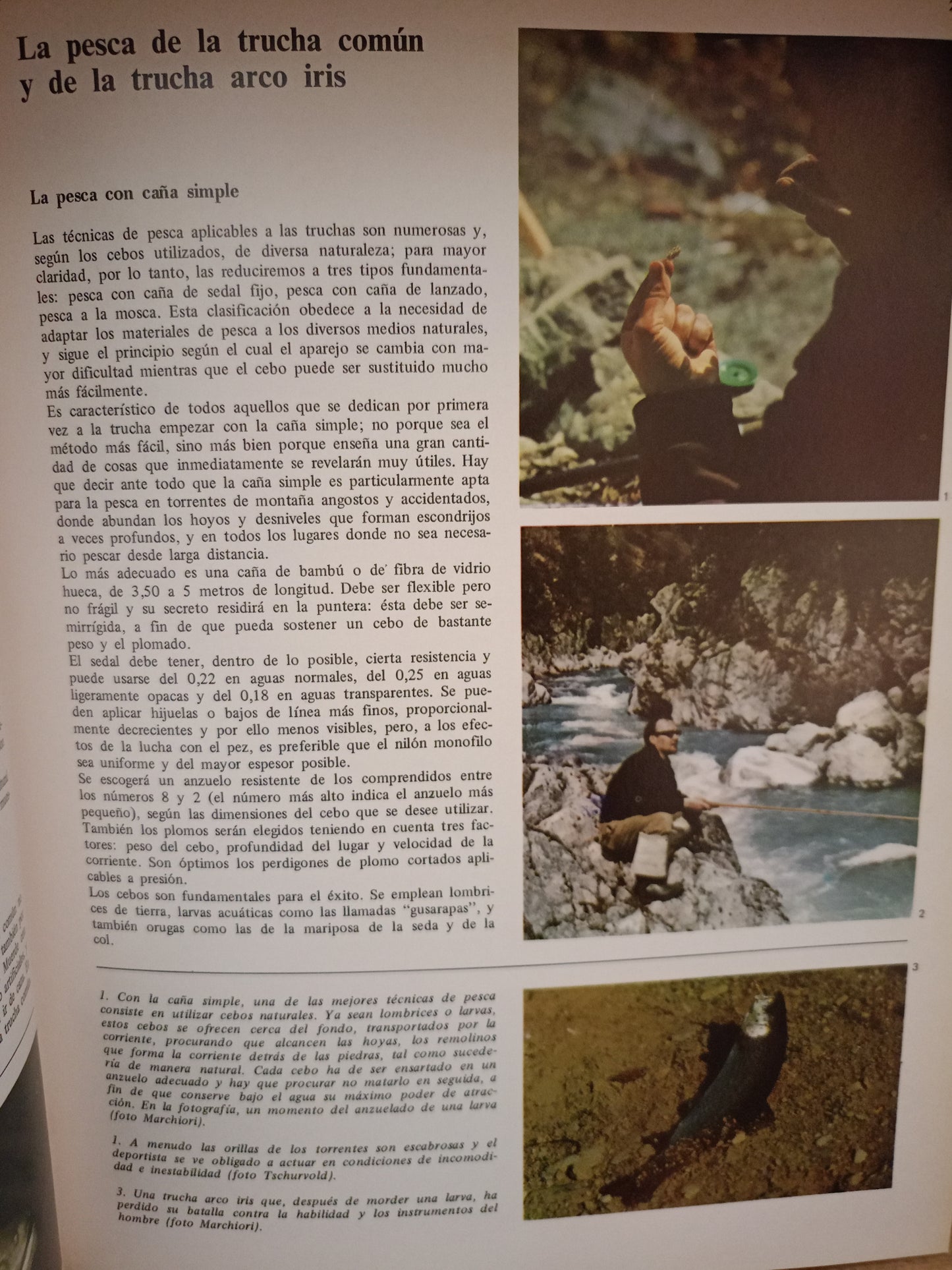 ENCICLOPEDIA DE LA PESCA (2 TOMOS) POR FERNANDO HUERTA Y RAMÍREZ Y PEDRO ARTÉ GRATACÓS USADO ANIMALES LITERARIO 305