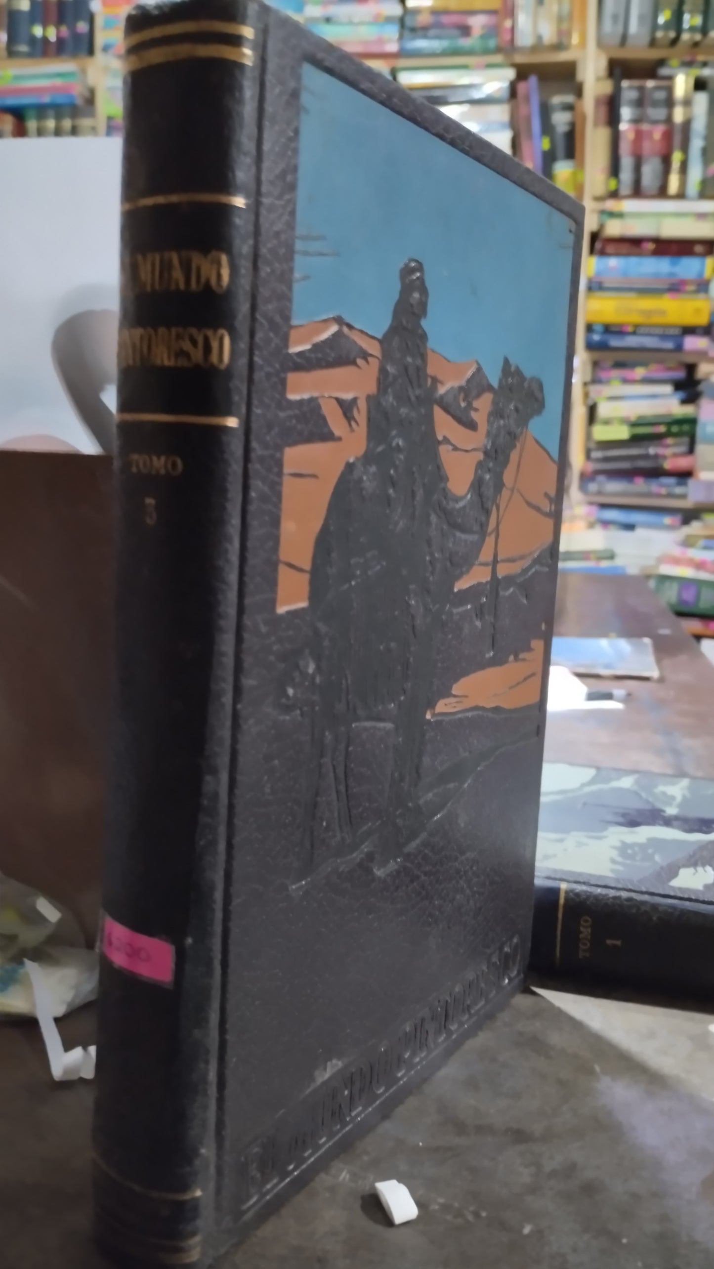 MUNDO PINTORESCO 3 LIBRO USADO HISTORIA ALDAMA
