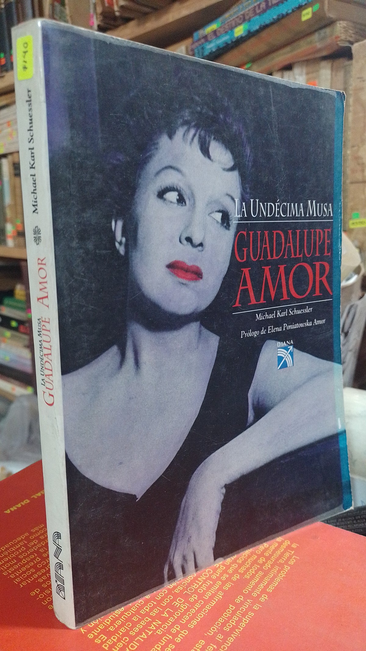 LA UNDECIMA MUSA GUADALUPE AMOR POR MICHAEL KARL SCHUESSLER USADO NOVELA ALDAMA