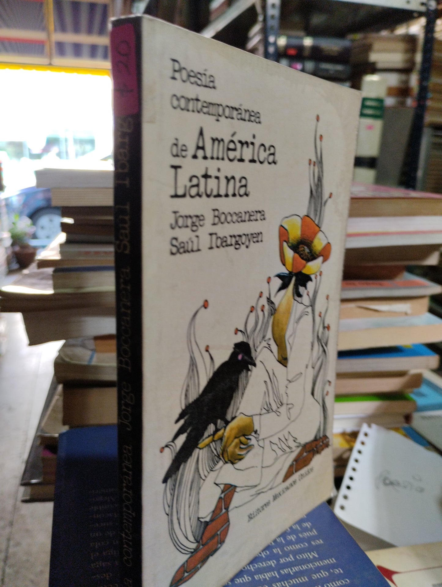 POESIA CONTEMPORÁNEA DE AMERICA LATINA POR JORGE BOCCANERA USADO POESIA ALDAMA