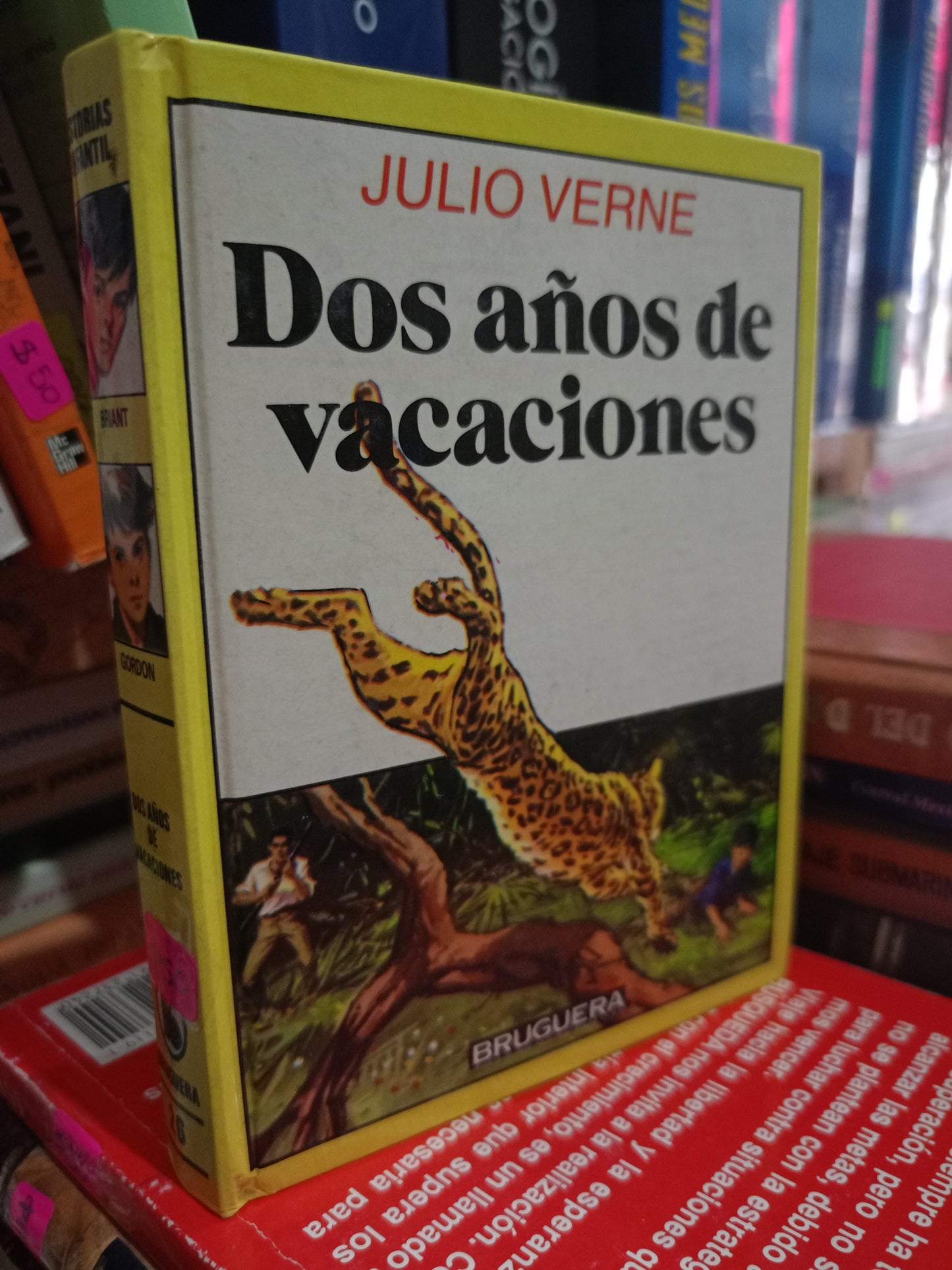DOS AÑOS DE VACACIONES POR JULIO VERNE USADO NOVELA LITERARIO 305