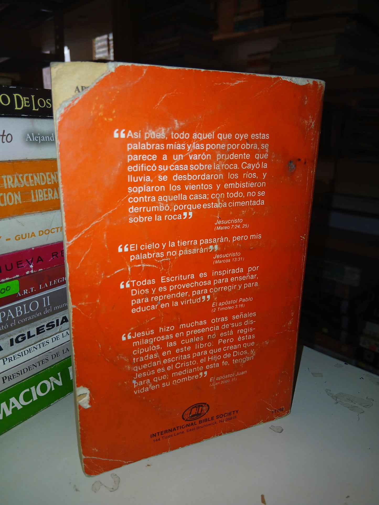 EL NUEVO TESTAMENTO. NUEVA VERSIÓN INTERNACIONAL (EL CAMINO A LA LUZ) USADO RELIGIÓN LITERARIO 207