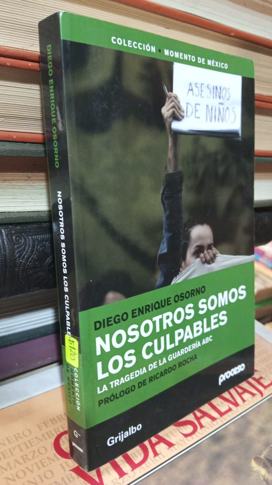NOSOTROS SOMOS LOS CULPABLES DE DIEGO ENRIQUE OSORNO USADO POLITICA JUAREZ 507