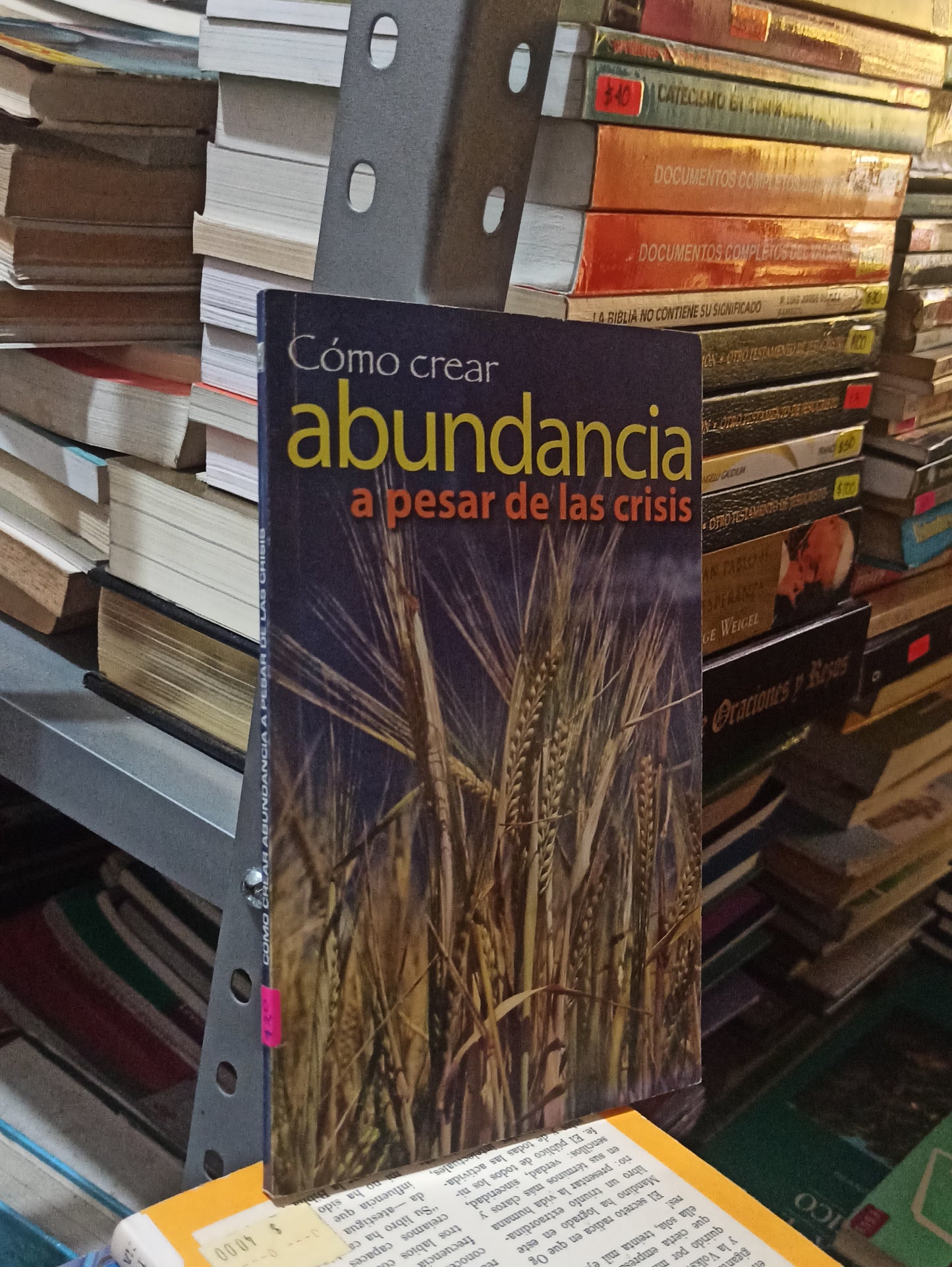 CÓMO CREAR ABUNDANCIA A PESAR DE LA CRISIS POR MARÍA LEÓN USADO SUPERACION PERSONAL JUÁREZ