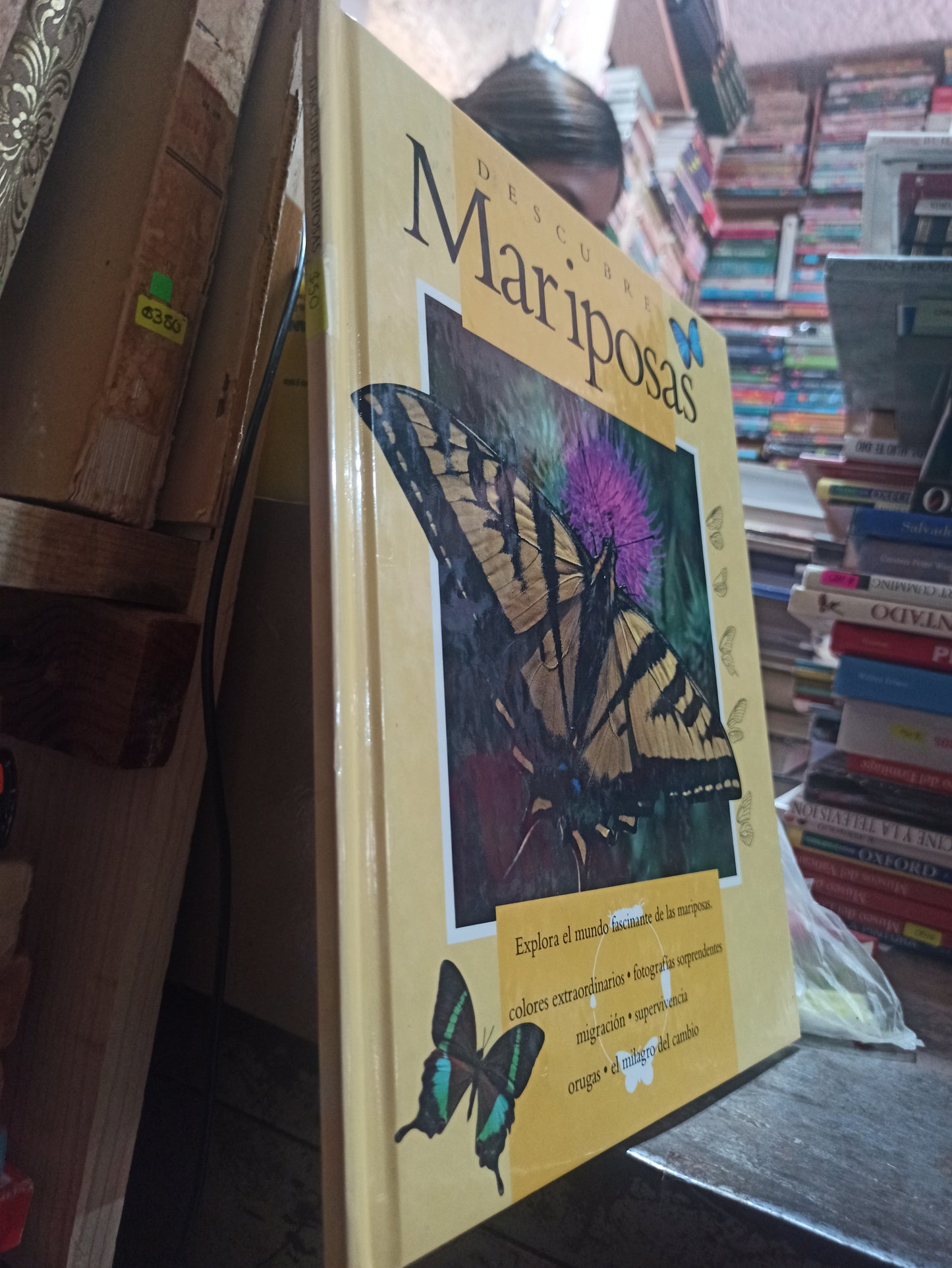 DESCUBRE MARIPOSAS POR GARY DUNN USADO BIOLOGIA ALDAMA