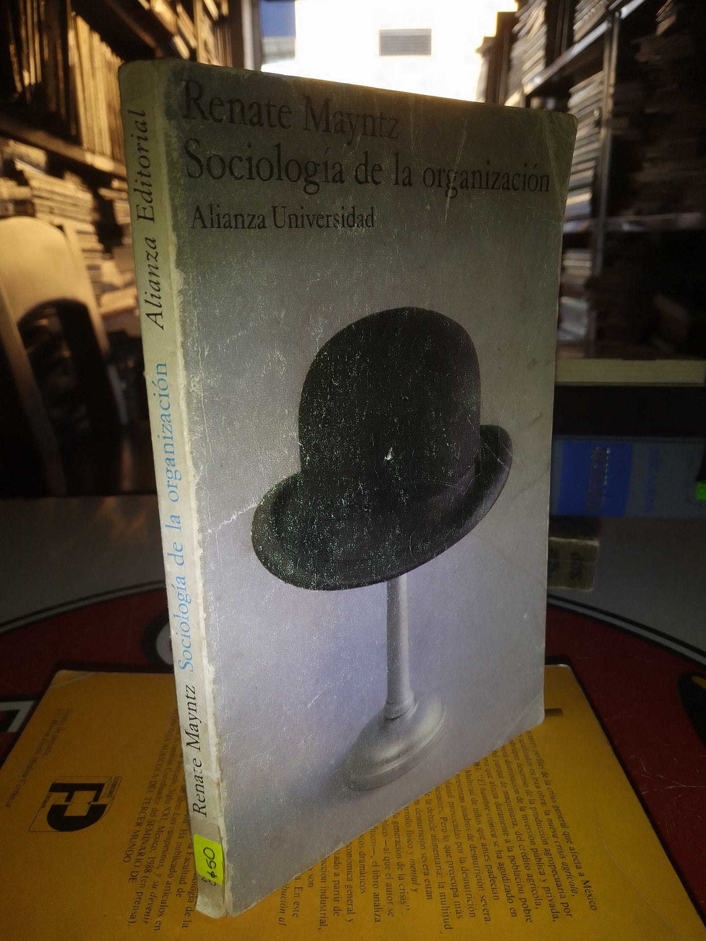 SOCIOLOGIA DE LA ORGANIZACIÓN POR RENATE MAYNTZ USADO SOCIOLOGÍA LITERARIO 207