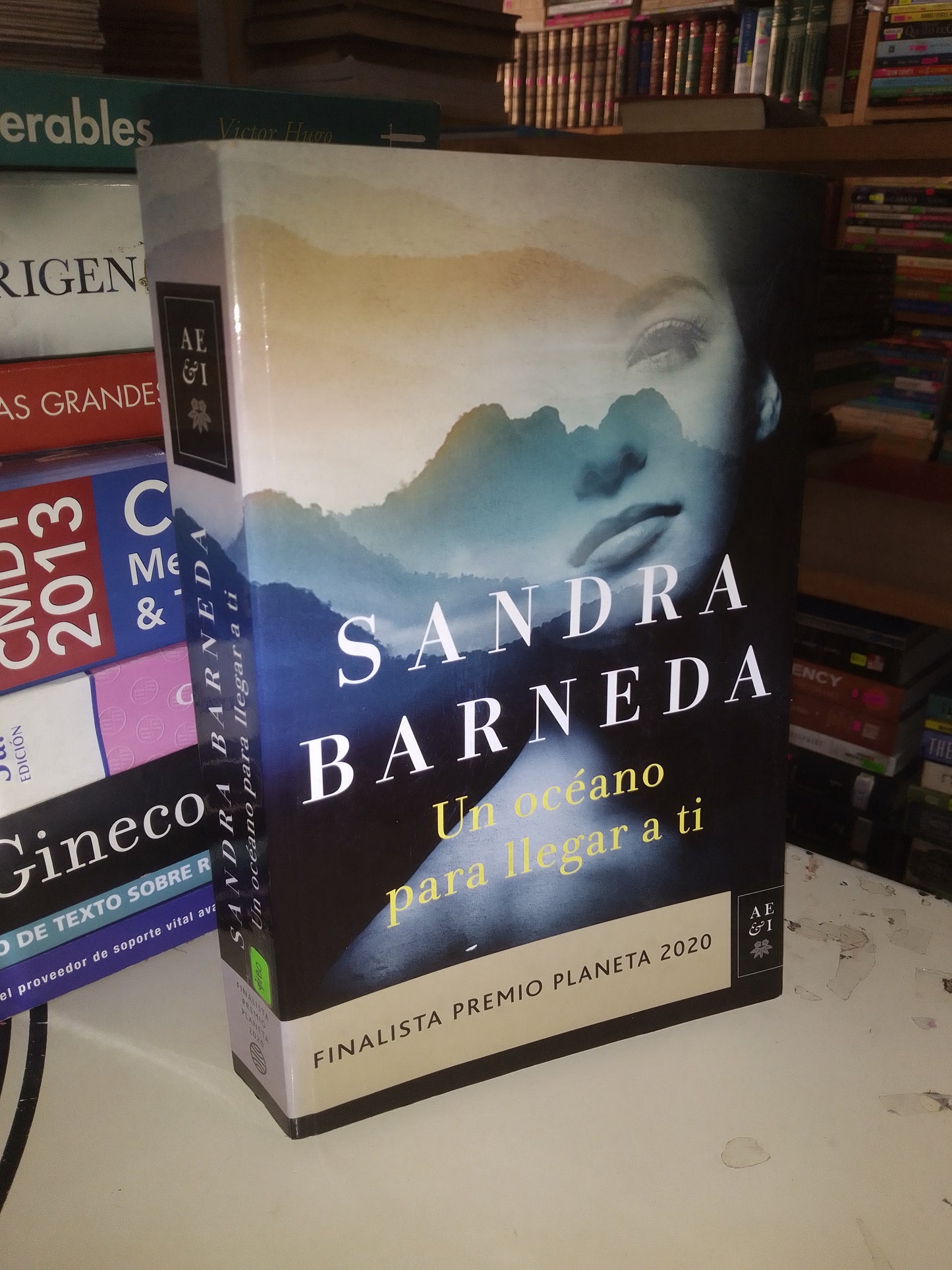 UN OCÉANO PARA LLEGAR A TI POR SANDRA BARNEDA USADO NOVELA LITERARIO 207
