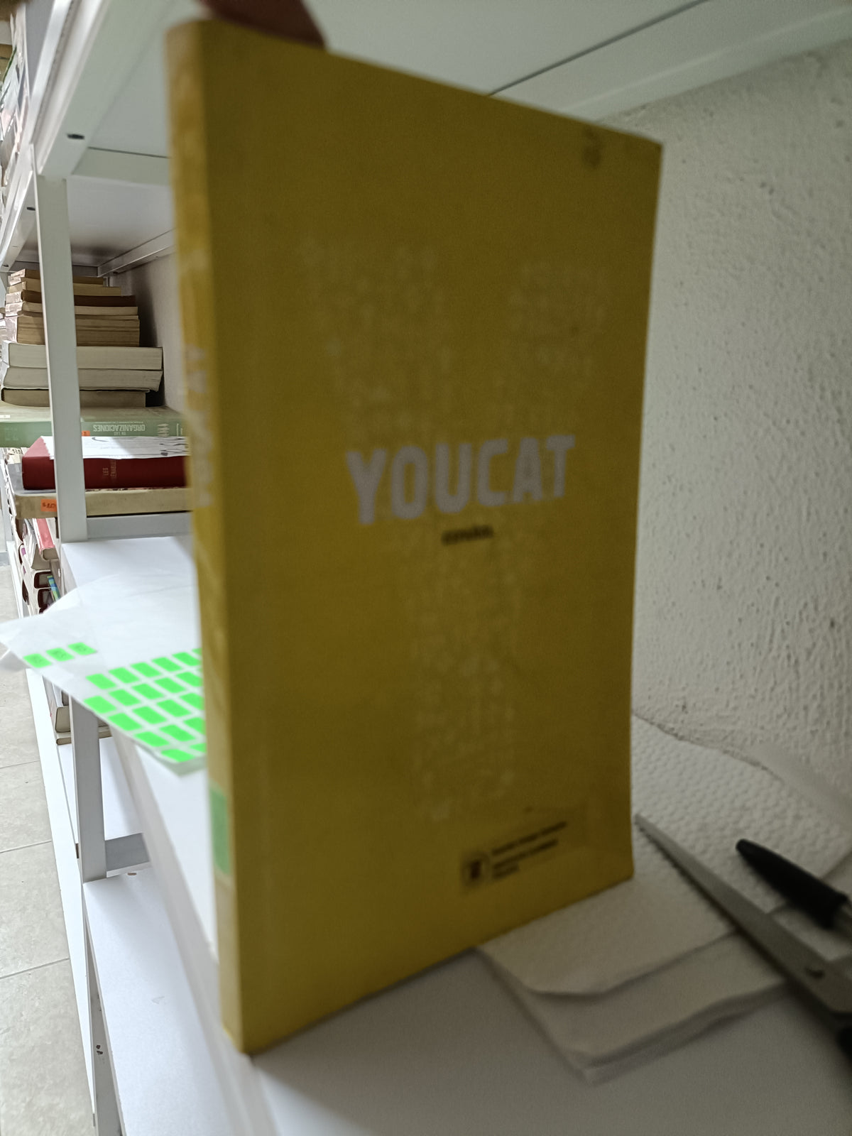 YOUCAT ESPAÑOL USADO RELIGION JUAREZ 515