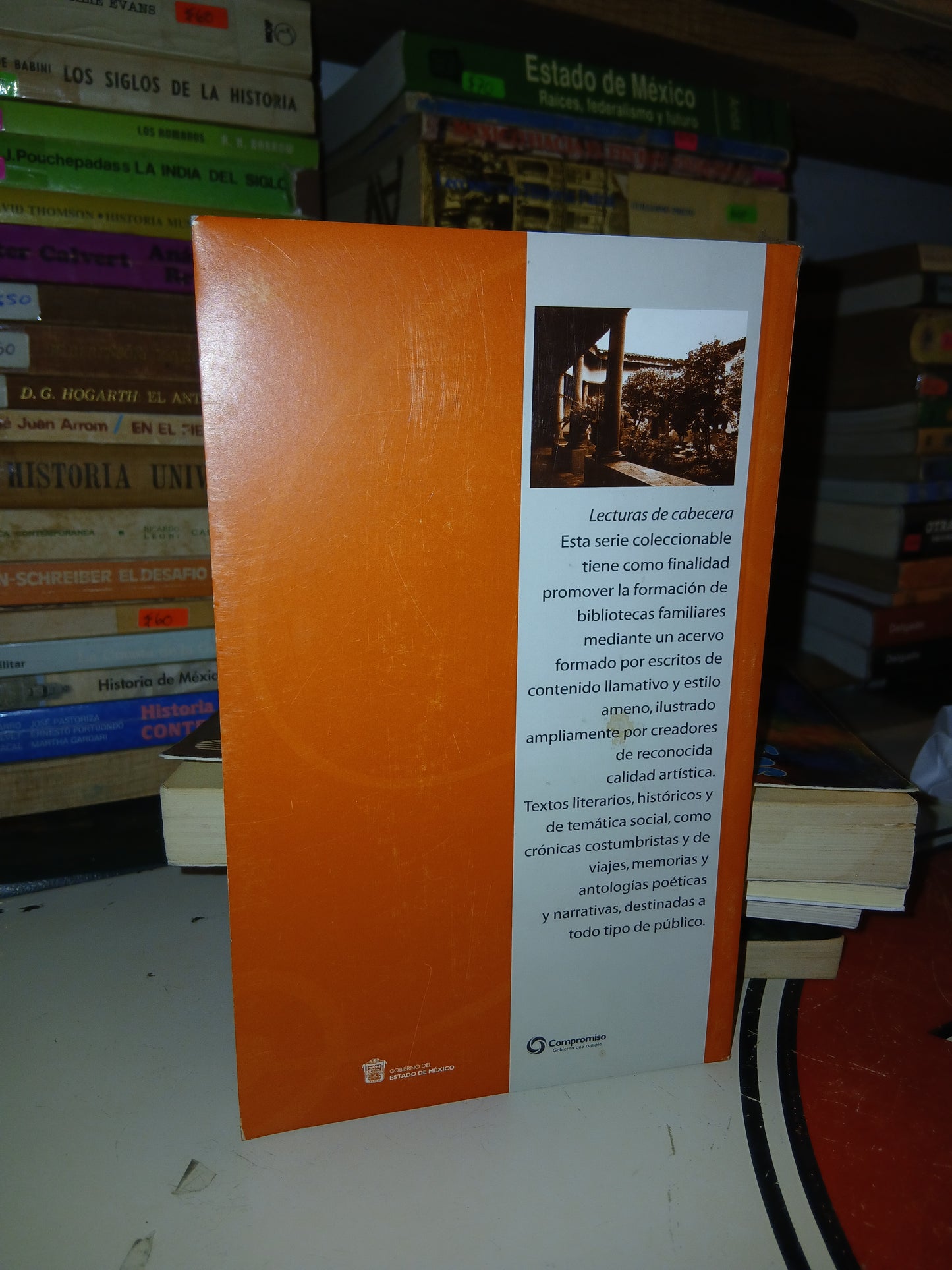 MARGARITA POR RODOLFO GARCÍA G. USADO NOVELA LITERARIO 207