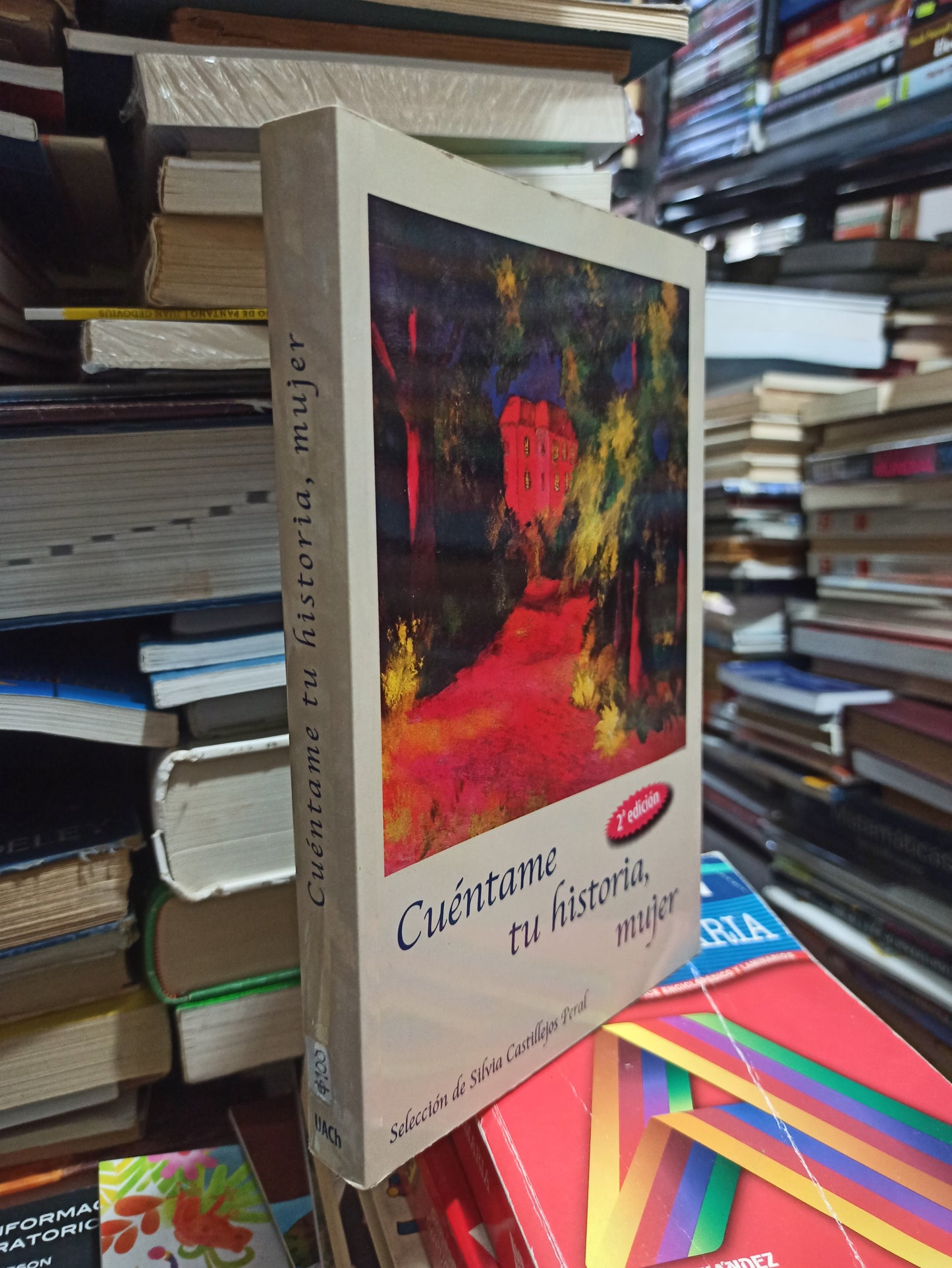CUÉNTAME TU HISTORIA, MUJER POR SILVIA CASTALLEJOS PERAL USADO NOVELAS JUÁREZ