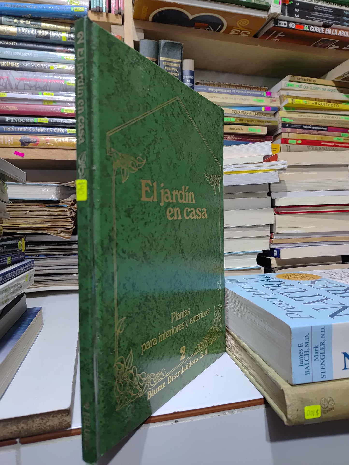 EL JARDIN EN CASA 2 POR EDITORIAL BLUME USADO AGRICULTURA JUAREZ 507
