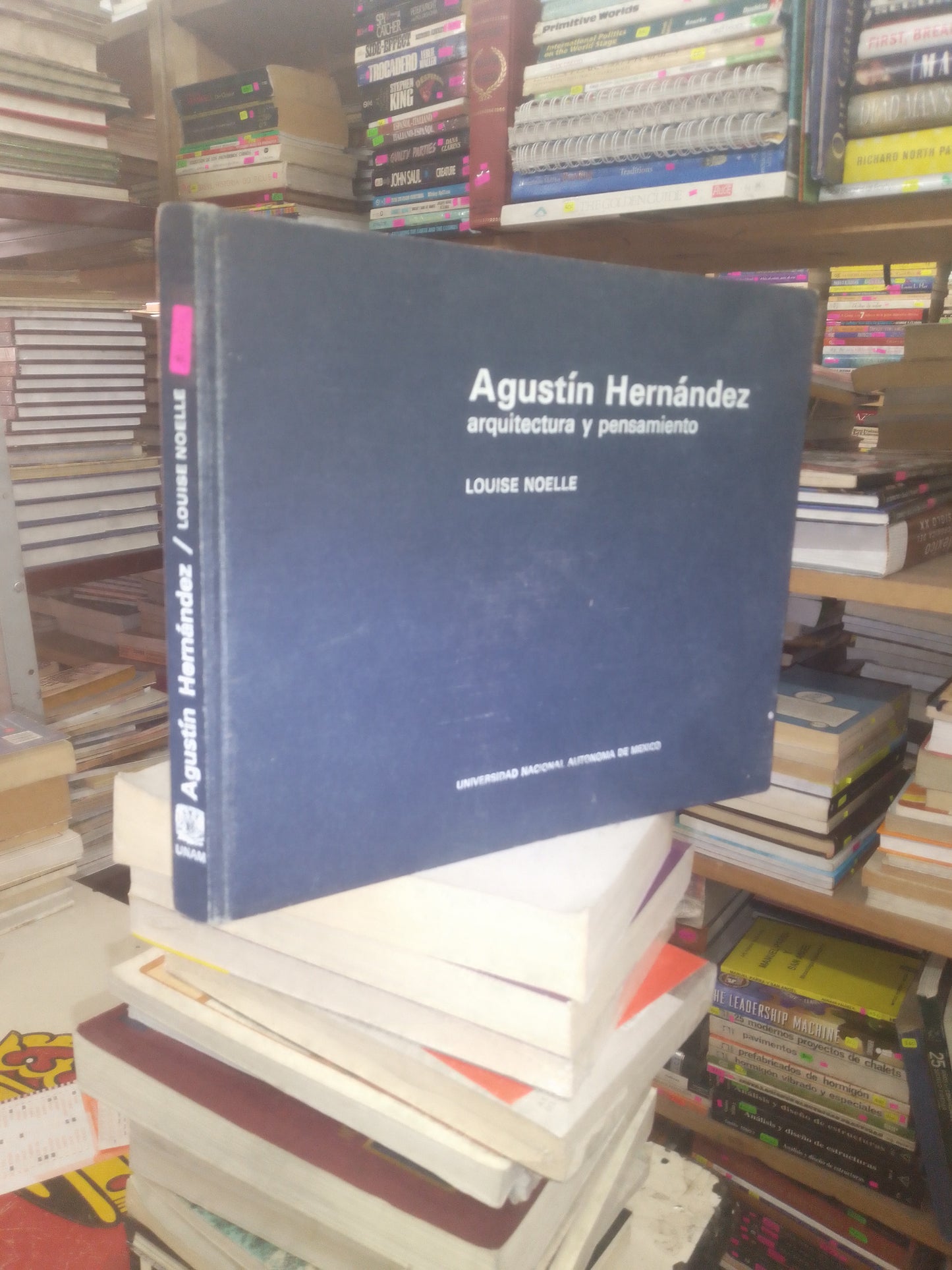 AGUSTÍN HERNÁNDEZ, ARQUITECTURA Y PENSAMIENTO POR LOUISE NOELLE USADO ARQUITECTURA LITERARIO 207
