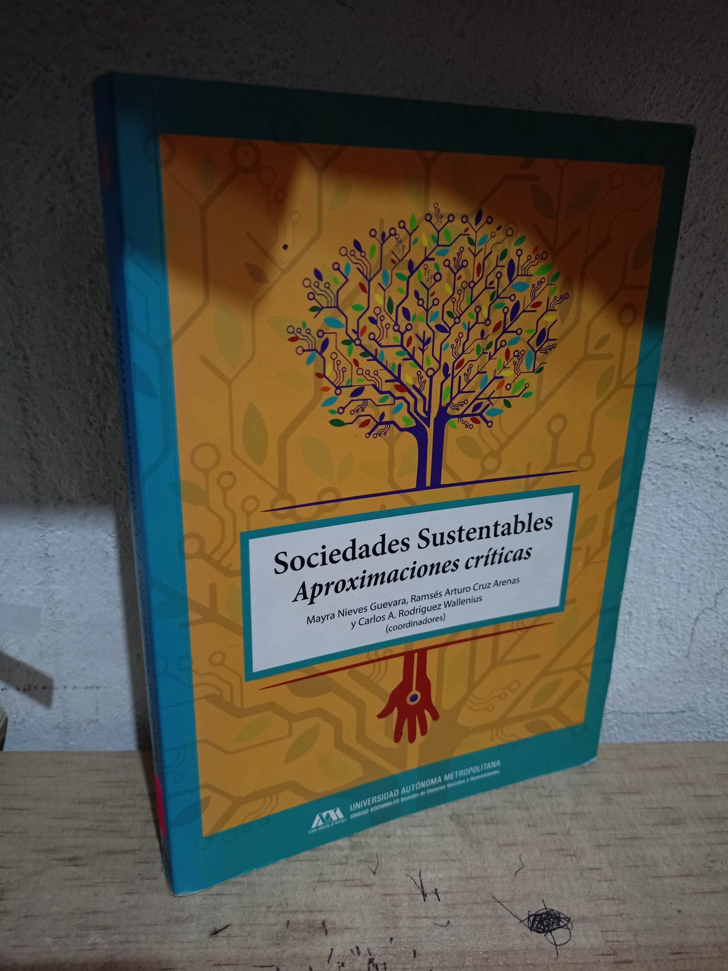 SOCIEDAD DE SUSTENTABLES APROXIMACIONES CRÍTICAS POR MAYRA NIEVES GUEVARA, RAMSÉS ARTURO CRUZ ARENAS Y CARLOS A. RODRÍGUEZ WALLENIUS USADO SOCIOLOGÍA LITERARIO 305