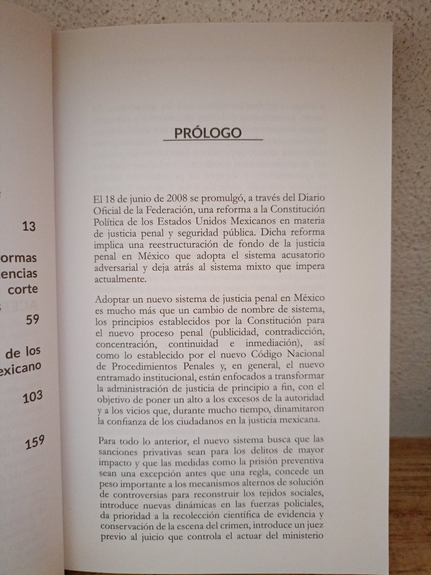 ENSAYO SOBRE LA IMPLEMENTACIÓN DE LA REFORMA PENAL EN MÉXICO VOL. II USADO DERECHO LITERARIO 305