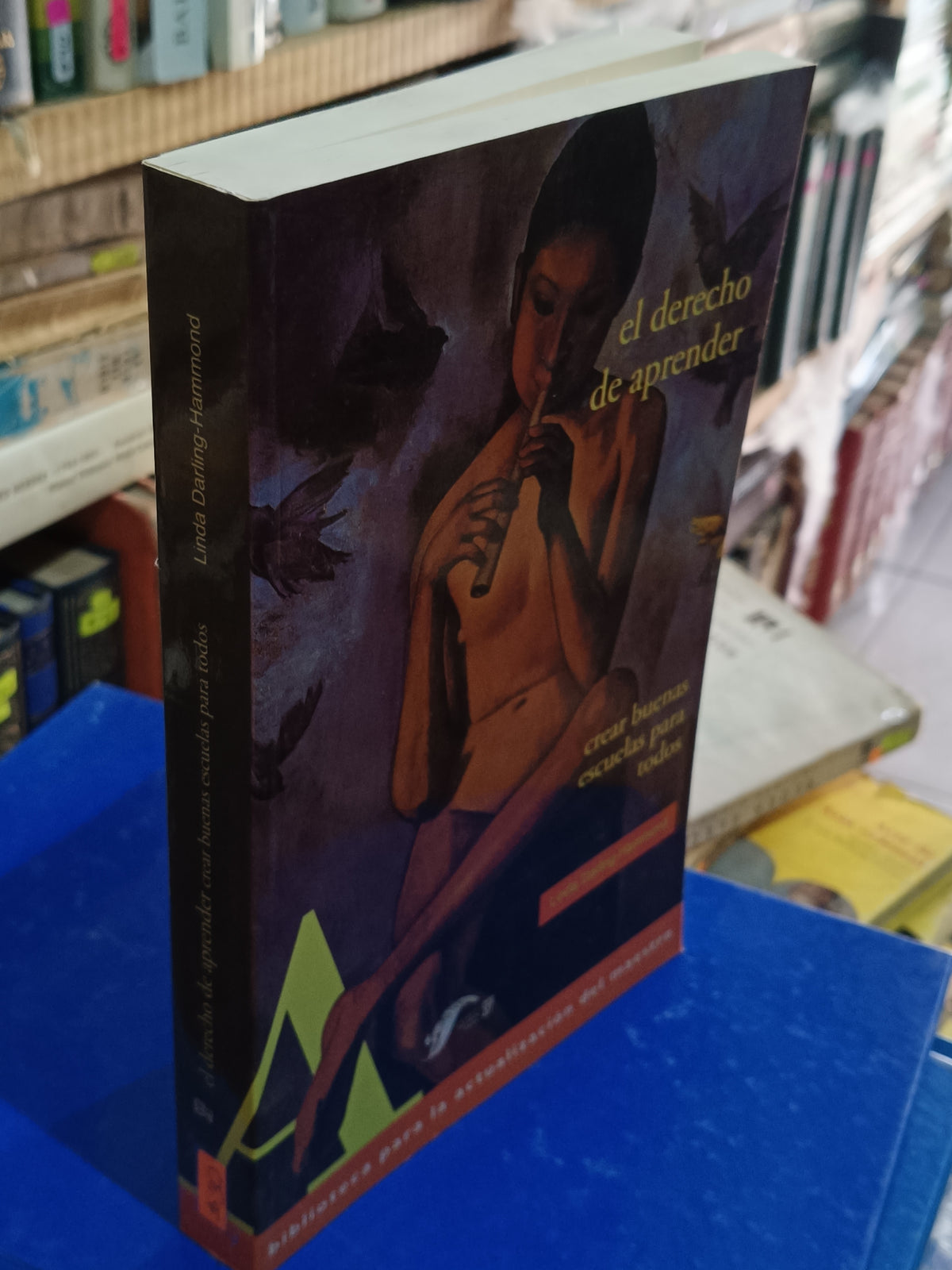 EL DERECHO DE APRENDER LINDA DARLING HAMMOND USADO EDUCACION LITERARIO 305
