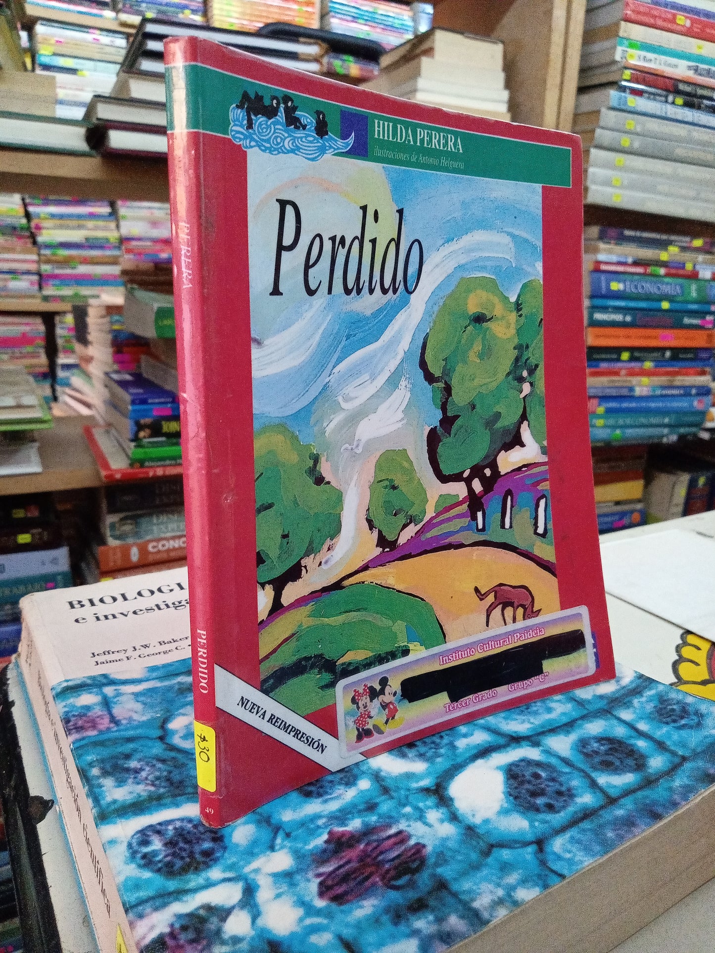 PERDIDO POR HILDA PERERS USADO INFANTIL LITERARIO 207