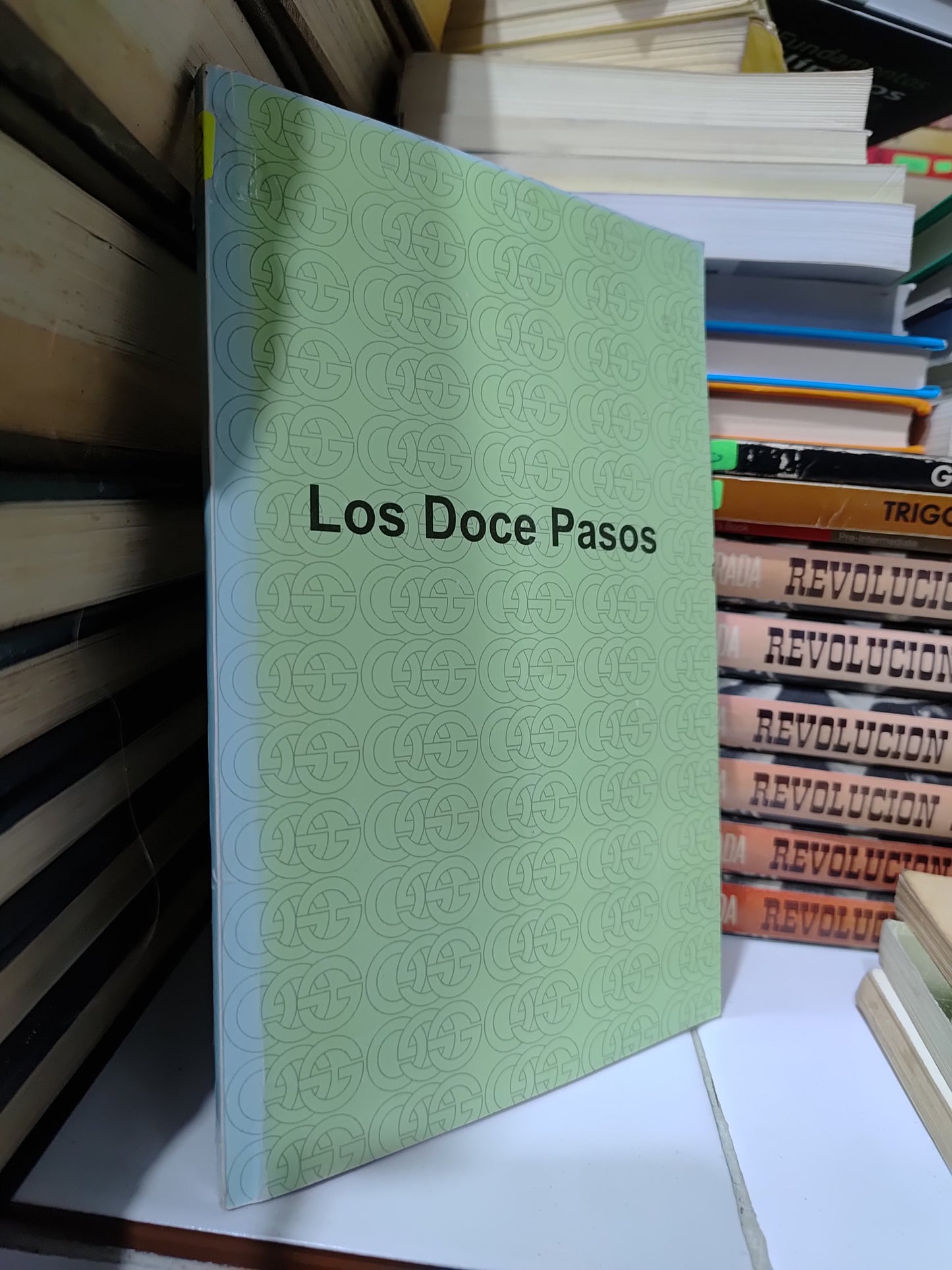 LOS DOCE PASOS USADO SUP PERSONAL JUAREZ 507
