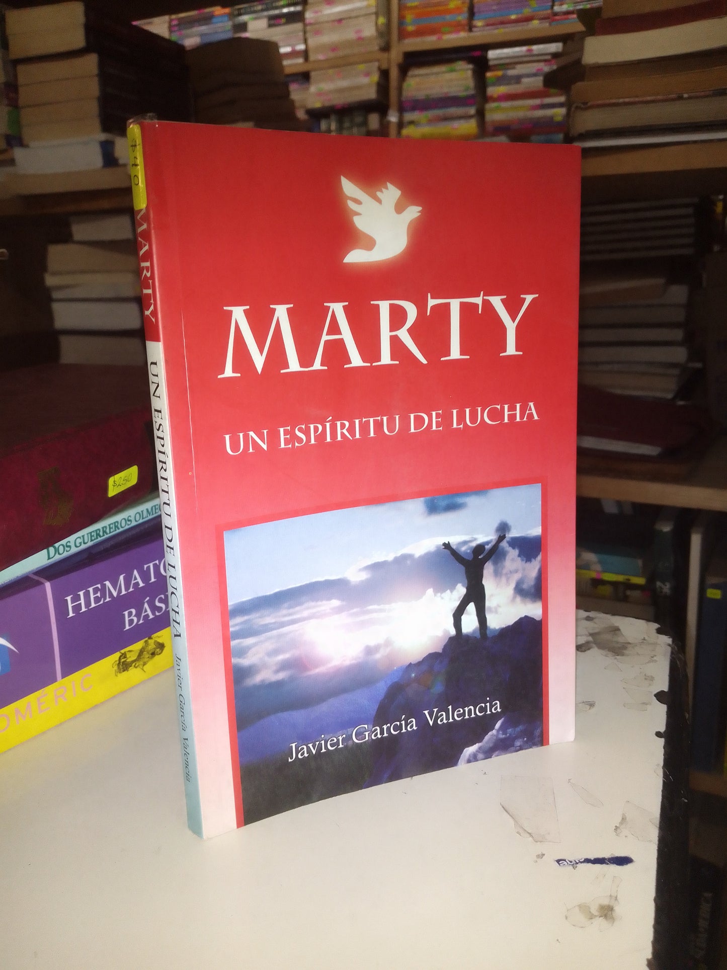MARTY UN ESPÍRITU DE LUCHA POR JAVIER GARCÍA VALENCIA USADO SUPERACIÓN PERSONAL LITERARIO 207