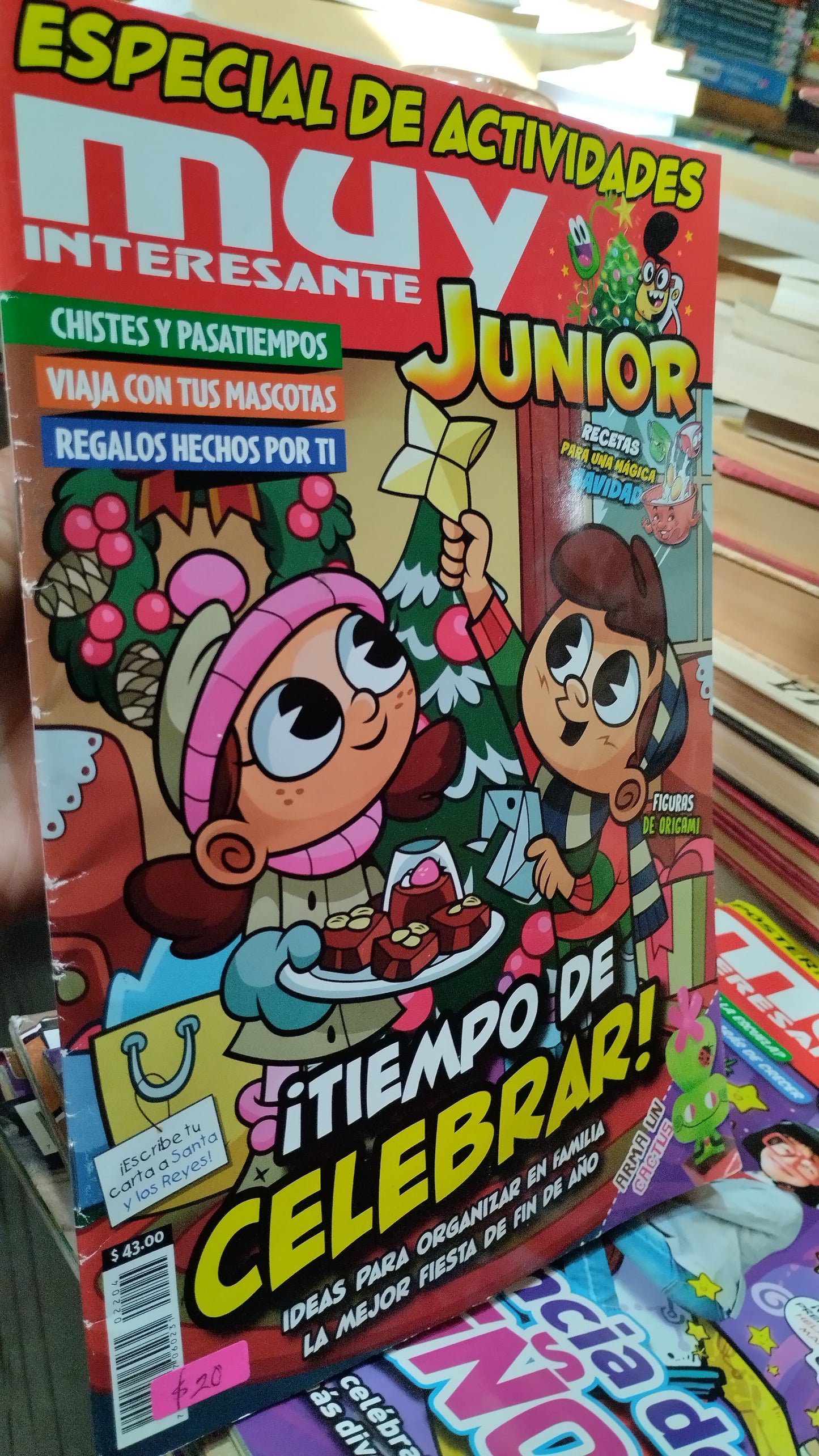 TIEMPO DE CELEBRAR LIBRO USADO INFANTIL ALDAMA