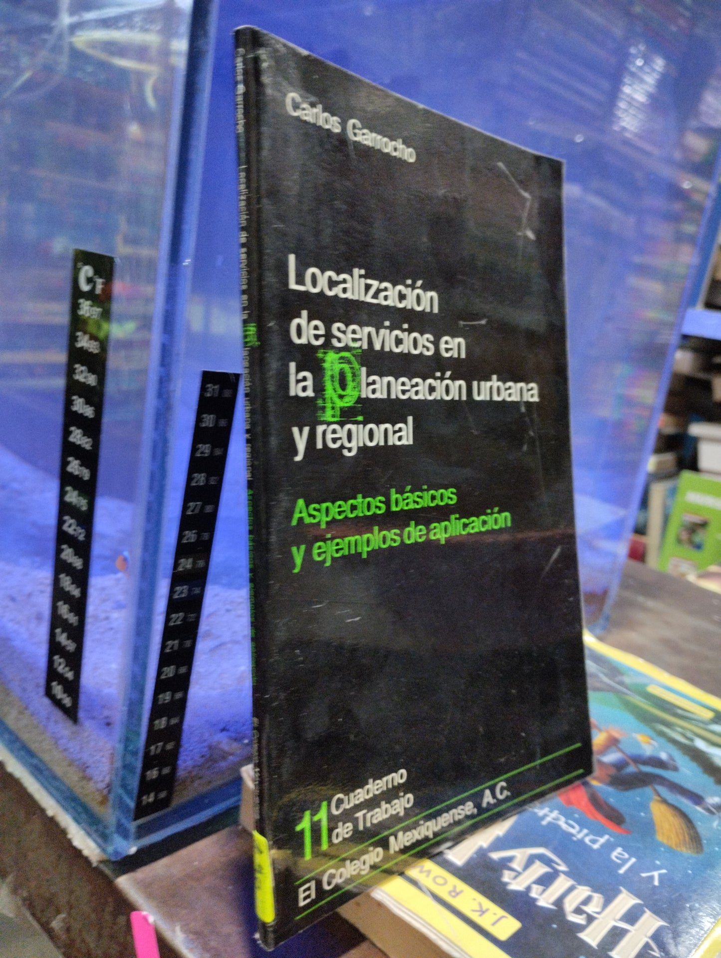 LOCALIZACION DE SERVICIOS EN LA PLANEACION URBANA Y REGIONAL POR CARLOS GARROCHO USADO SOCIOLOGIA ALDAMA