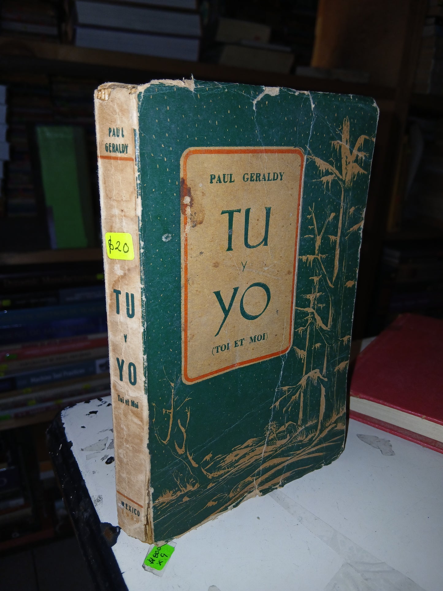 TÚ Y YO POR PAUL GERALDY USADO NOVELA LITERARIO 207