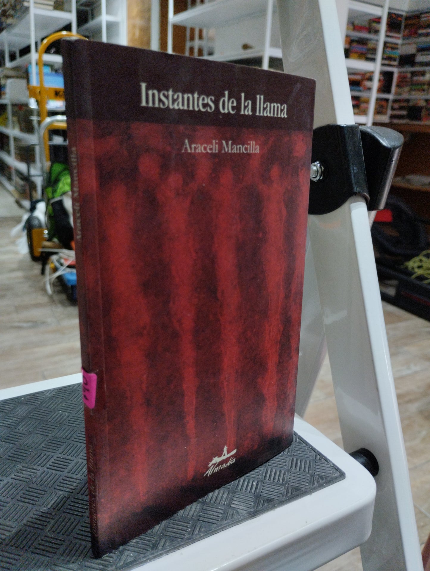 INSTANTES DE LA LLAMA POR ARACELI MANCILLA USADO POESIA JUAREZ 515