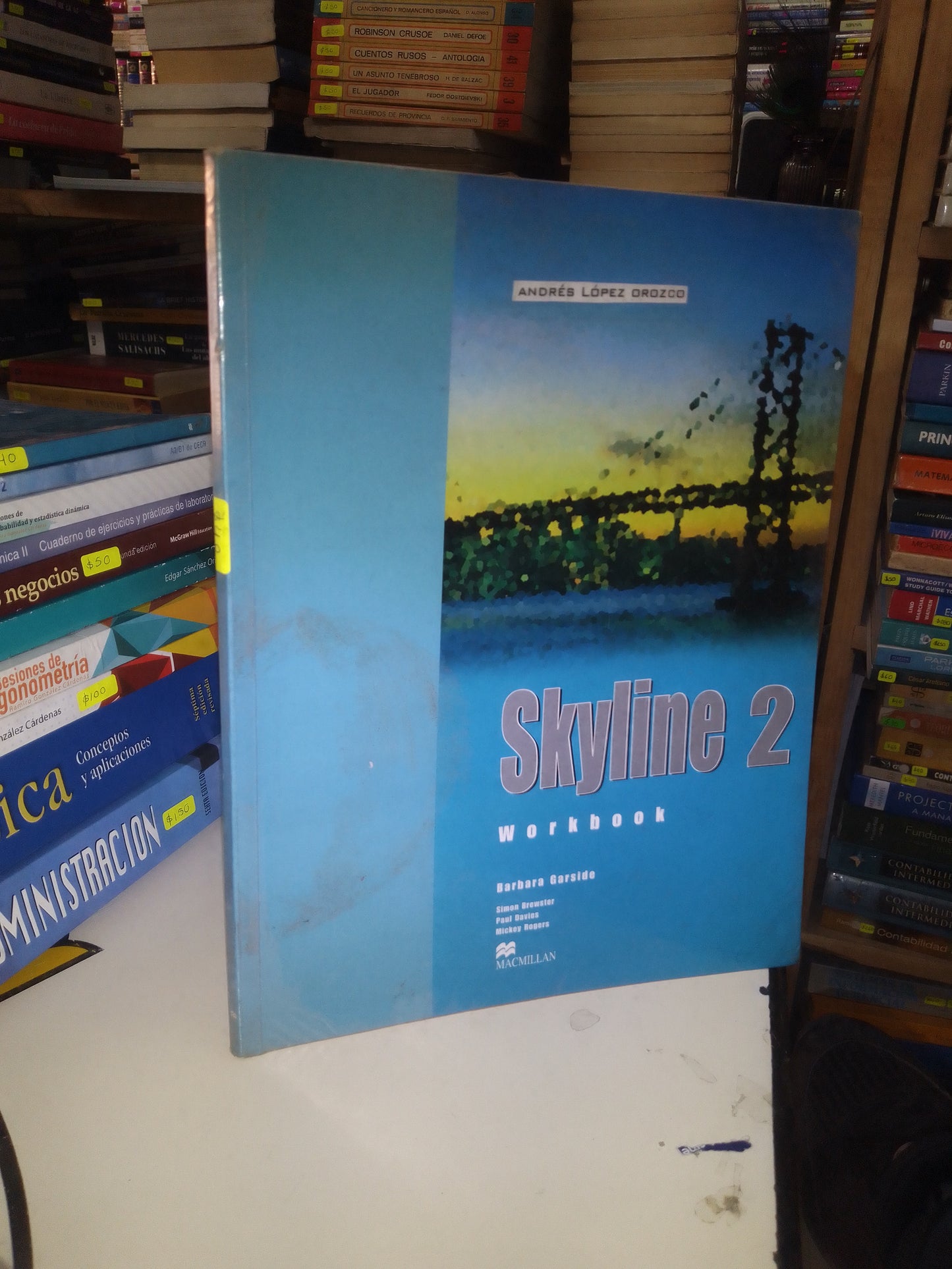 SKYLINE WORKBOOK 2 POR BARBARA GARSIDE USADO IDIOMAS LITERARIO 207