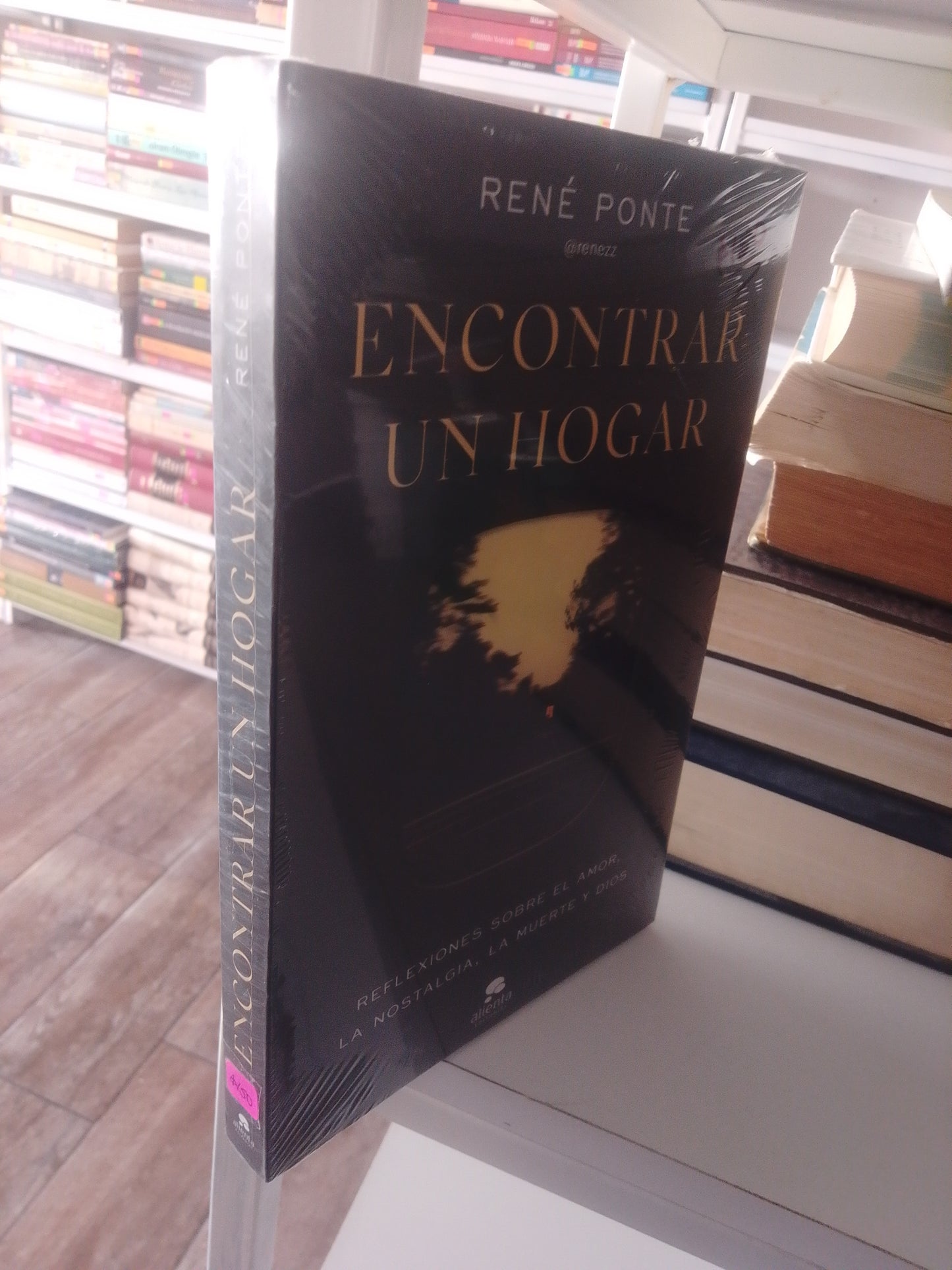 ENCONTRAR UN HOGAR POR RENE PONTE NUEVO JUAREZ 515