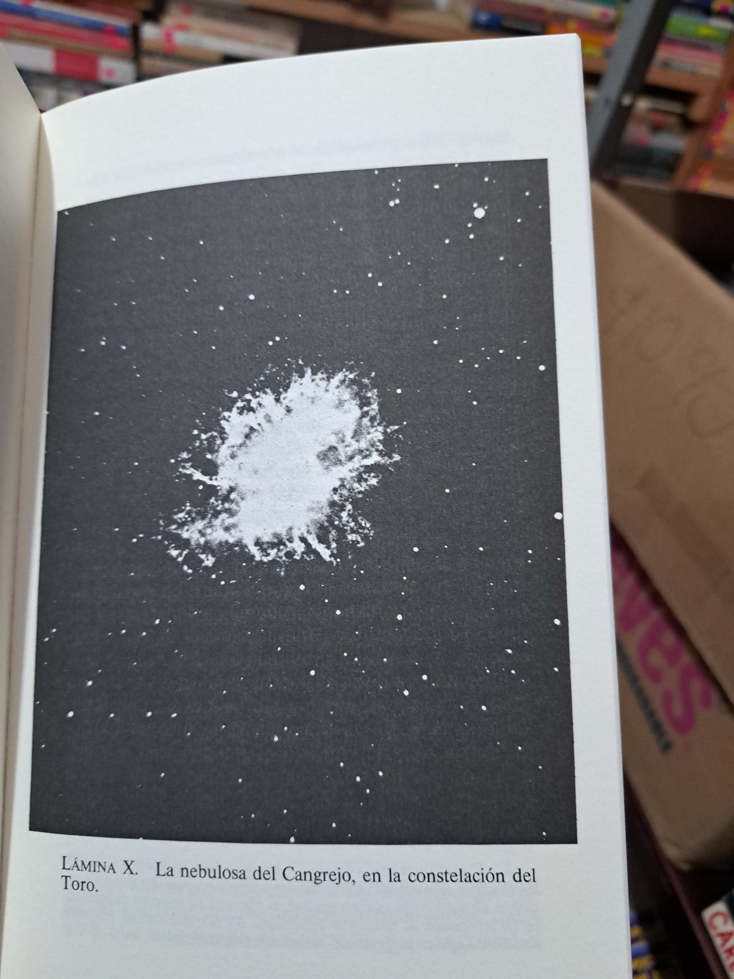 LA CREACIÓN DEL UNIVERSO GEORGE GAMOW USADO NOVELA LITERARIO 305