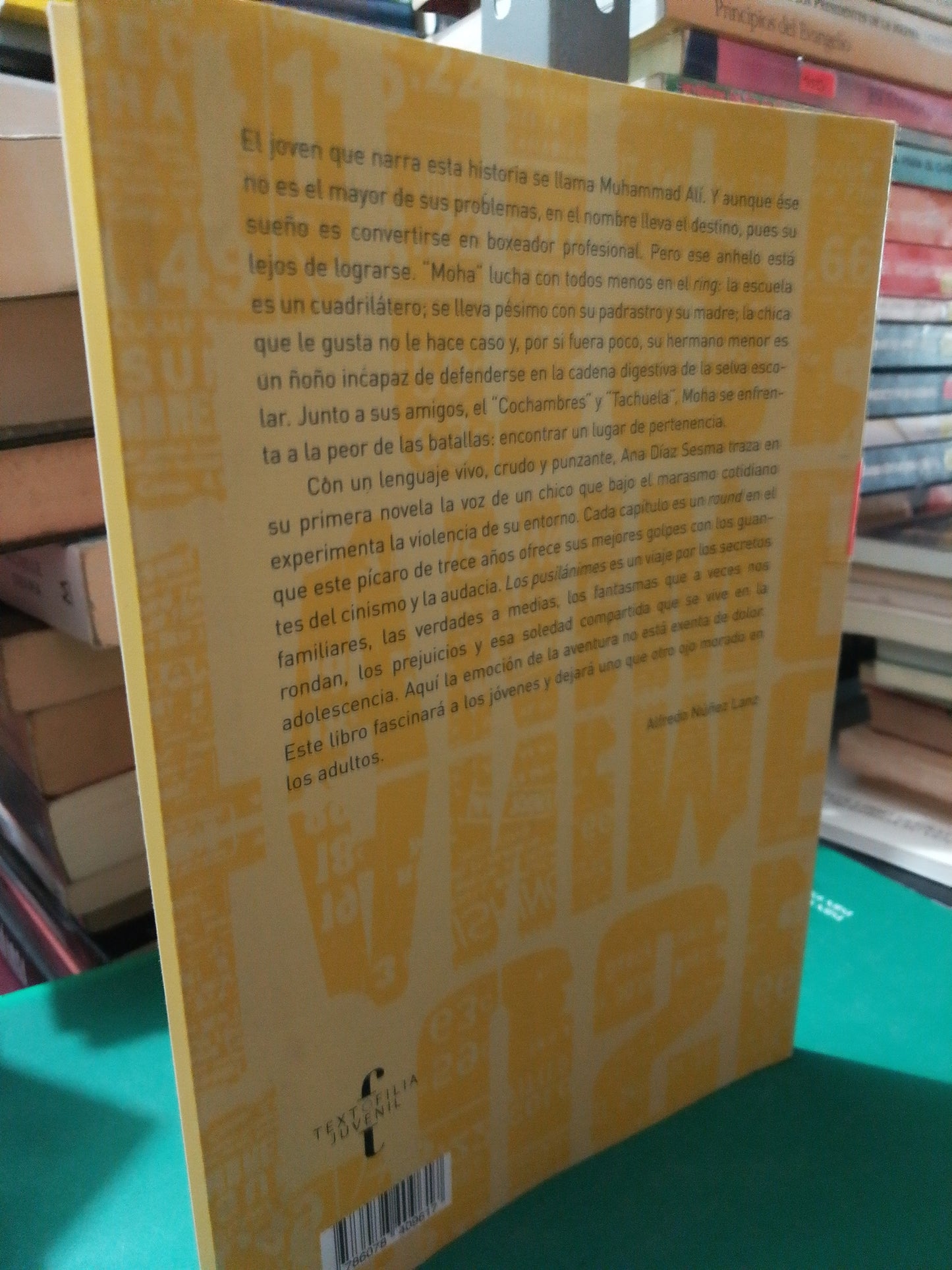 LOS PUSILA NIMES POR ANA DIAZ SESMA USADO NOVELA JUAREZ