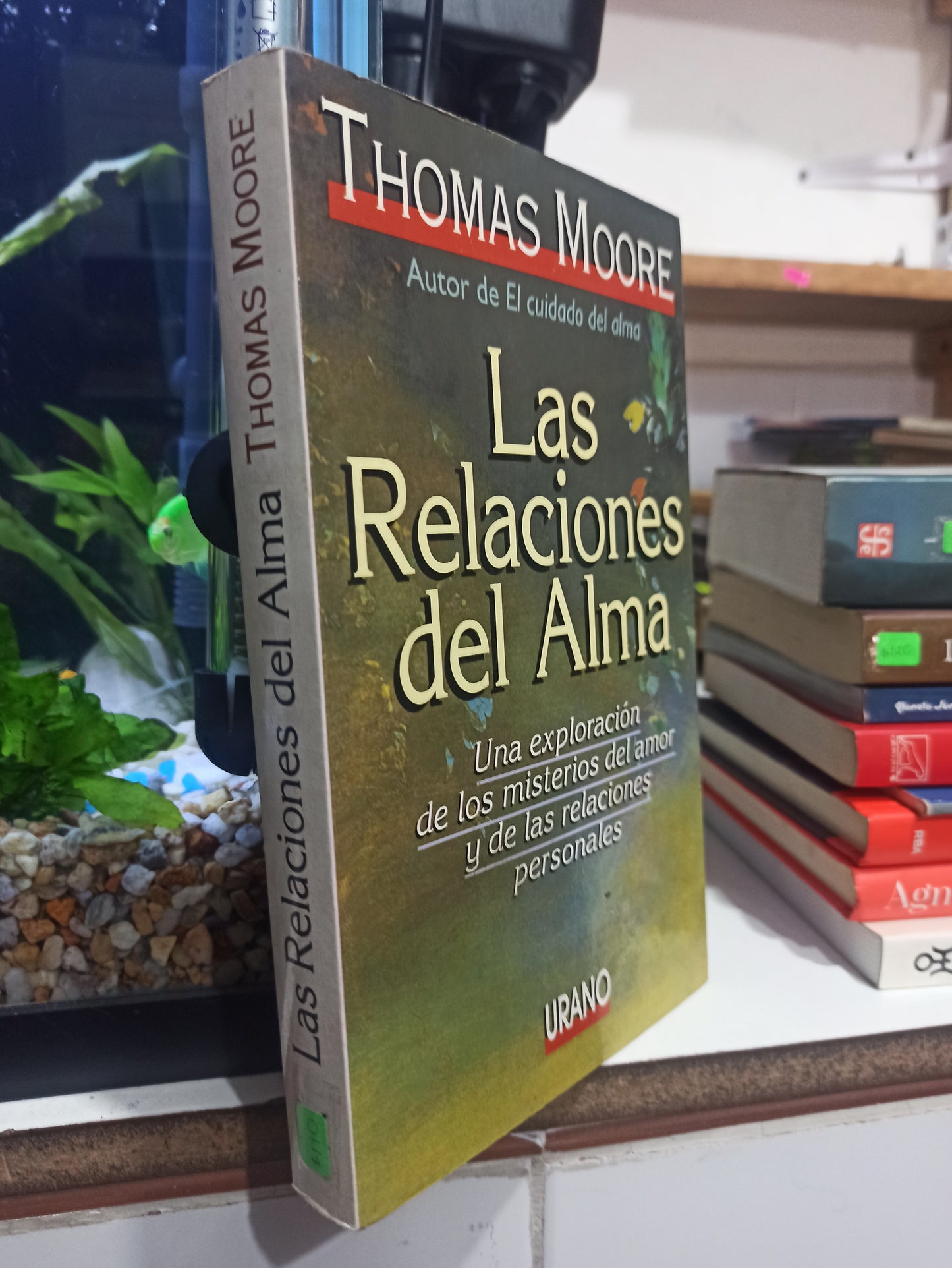 LAS RELACIONES DEL ALMA POR THOMAS MOORE USADO SUP PERSONAL JUÁREZ