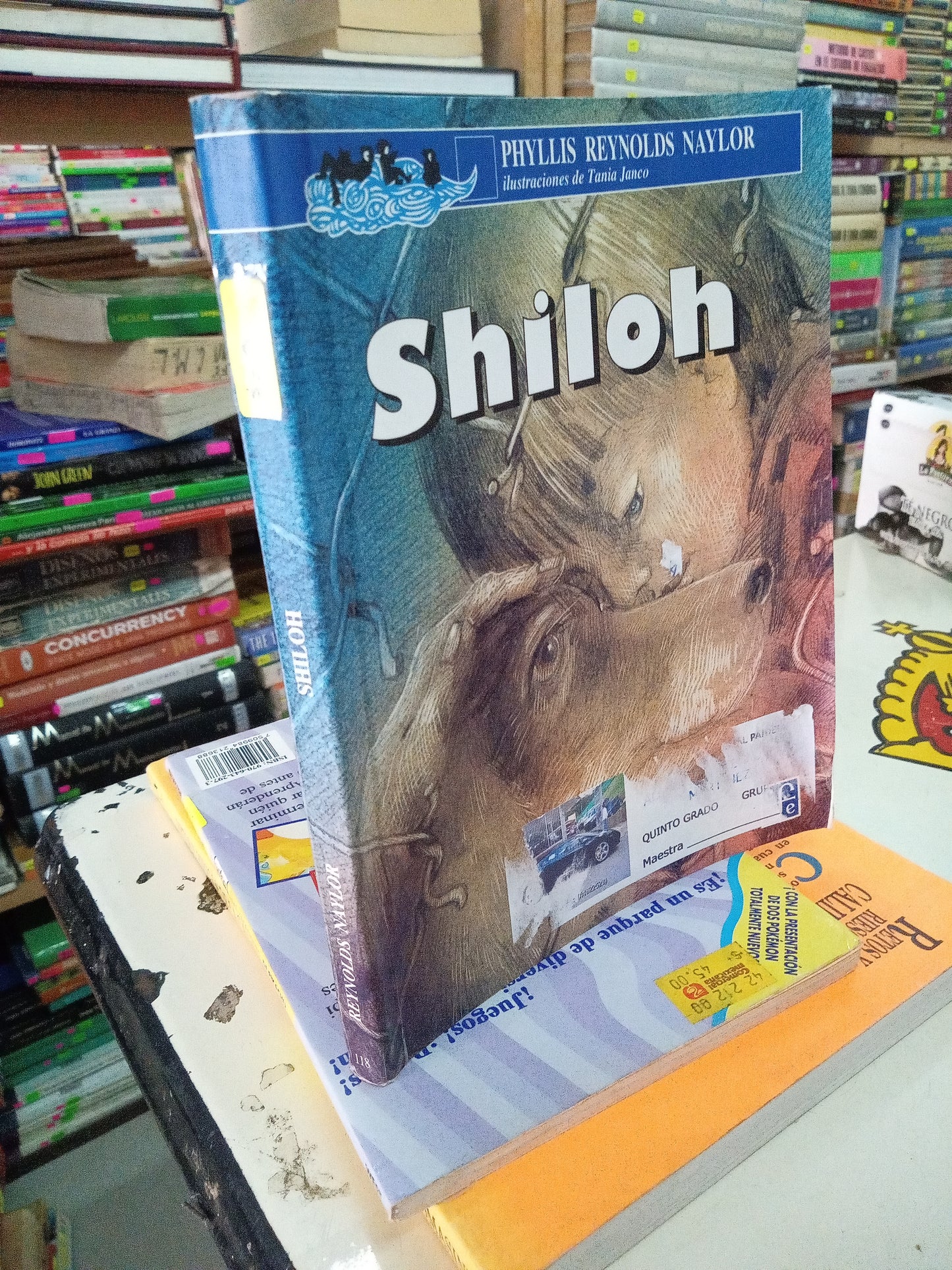 SHILOH POR PHYLLIS REYNOLS USADO INFANTIL LITERARIO 207