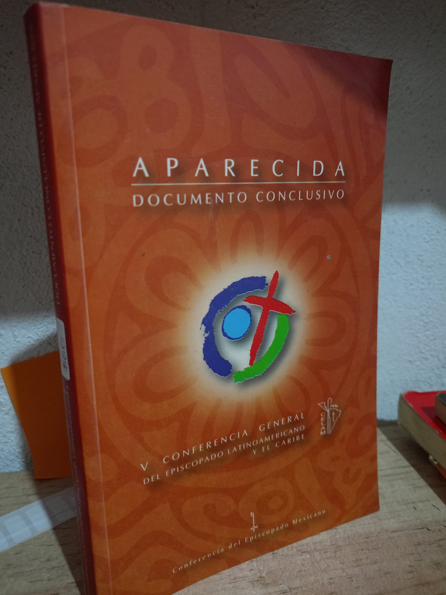 APARECIDA DOCUMENTO CONCLUSIVO USADO RELIGIÓN LITERARIO 305