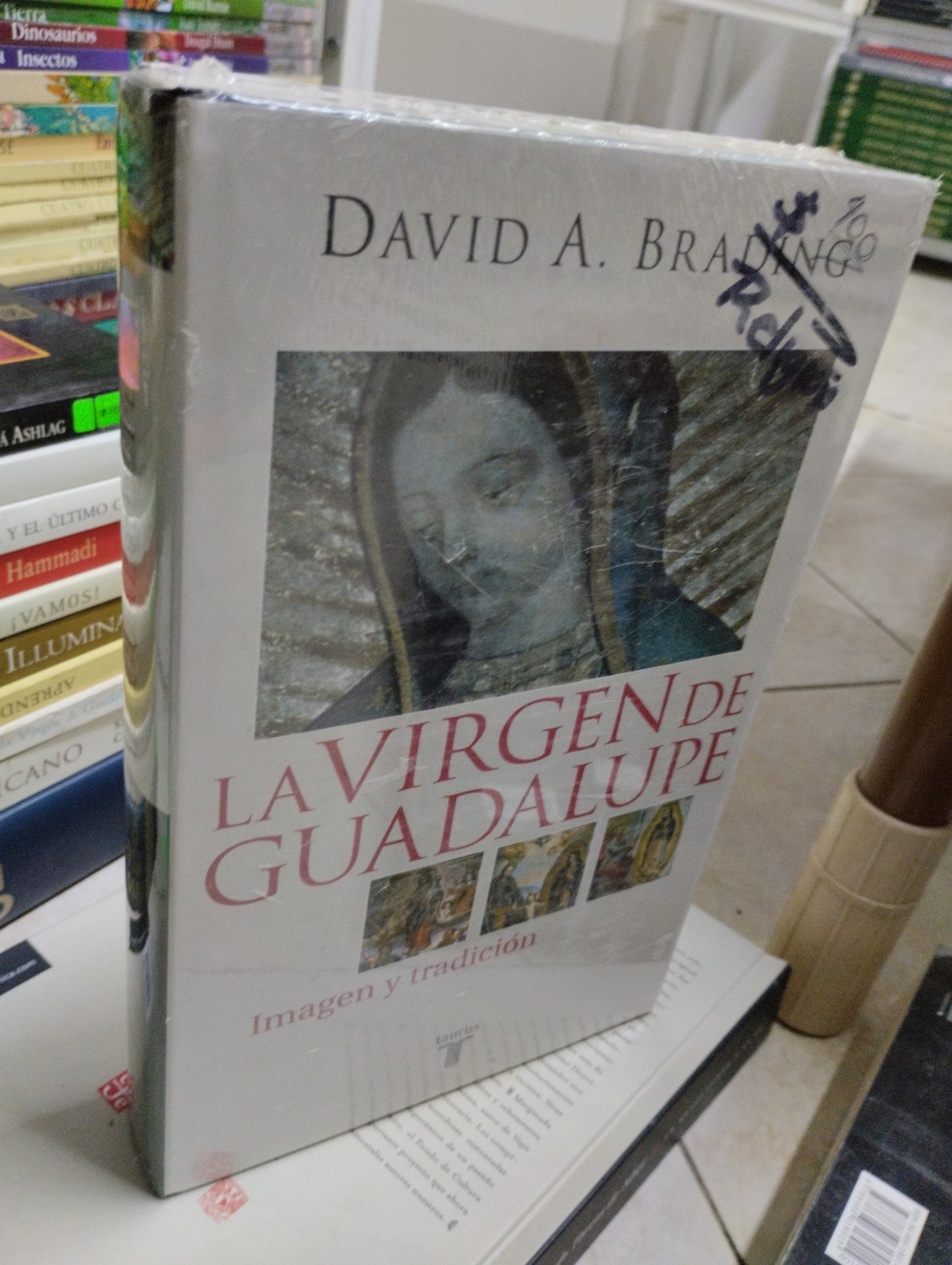 LA VIRGEN DE GUADALUPE, DAVID A. BRADING, USADO, RELIGION, JUAREZ 515