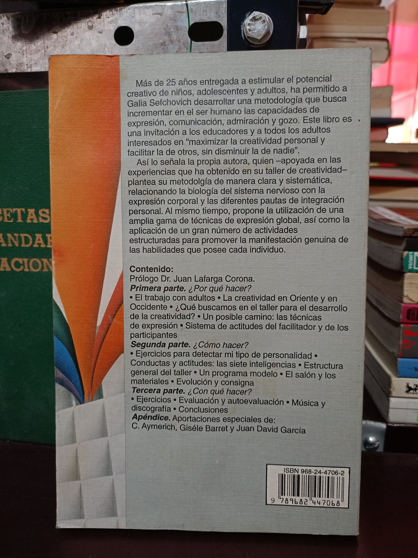 CREATIVIDAD PARA ADULTOS POR GALIA SEFCHOVICH USADO EDUCACIÓN LITERARIO 305