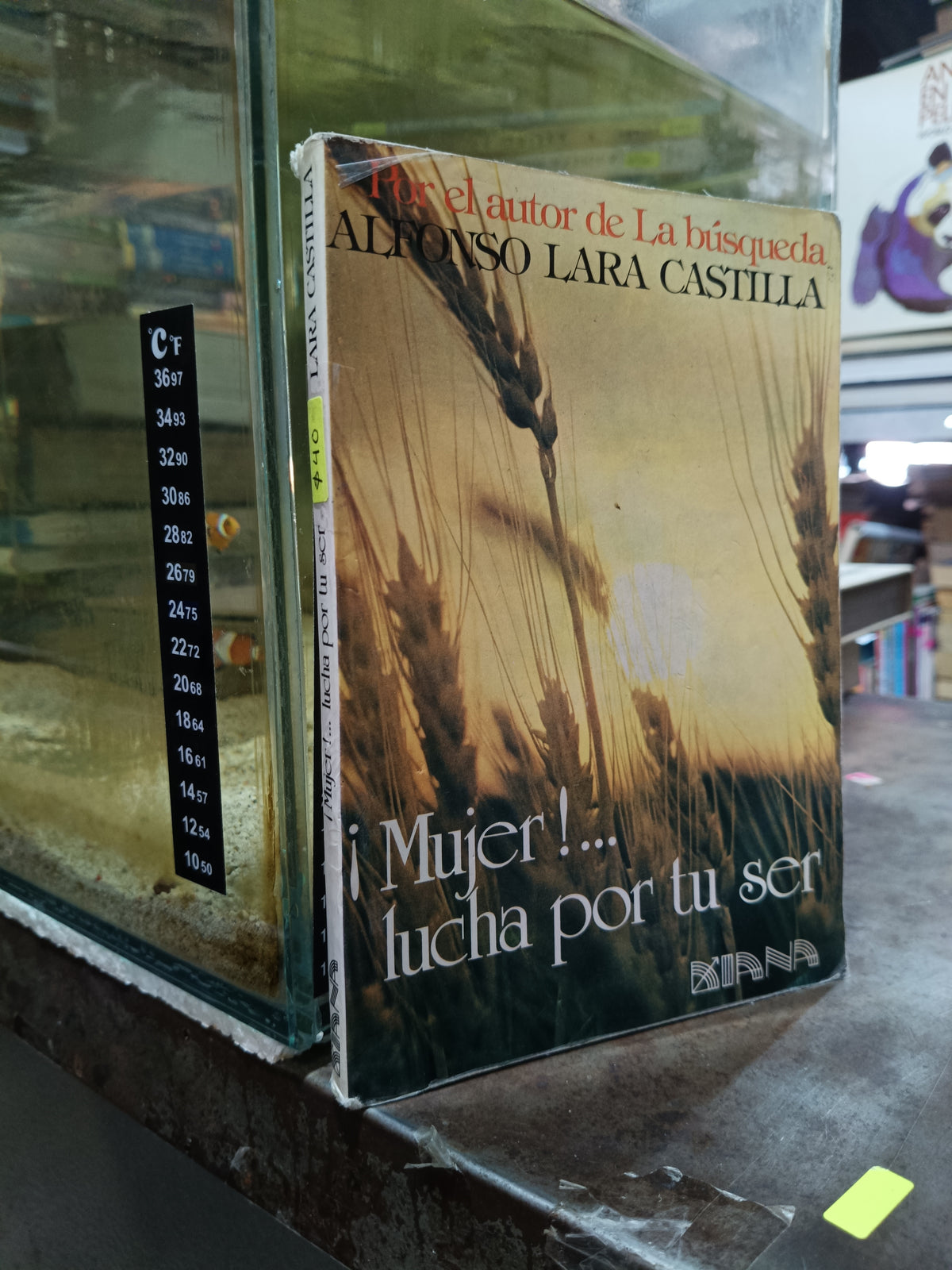 MUJER LUCHA POR TU SER POR ALFONSO LARA CASTILLO USADO SUPERACION PERSONAL ALDAMA