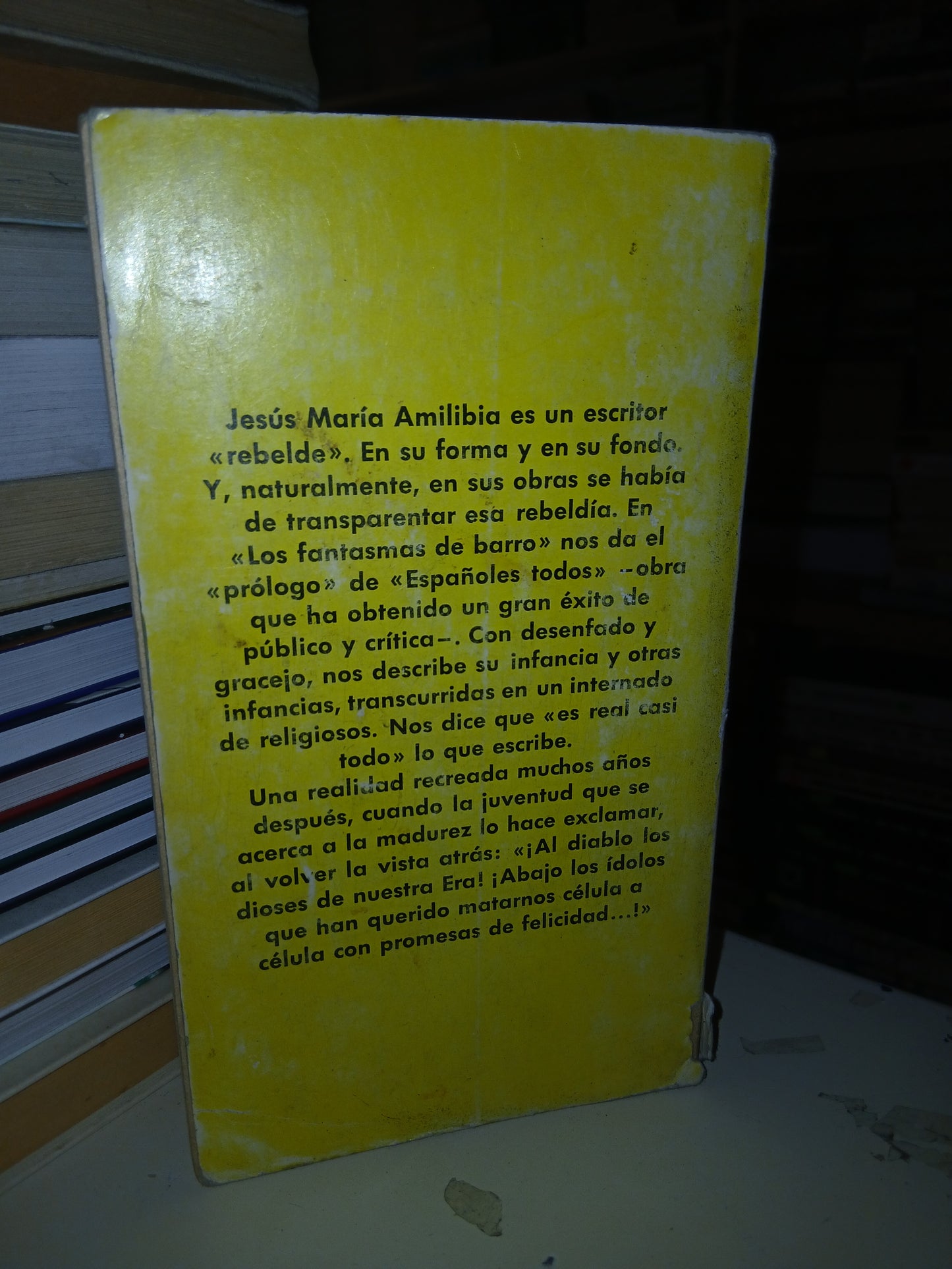 LOS FANTASMAS DE BARRO POR JESÚS MARÍA AMILIBIA USADO NOVELA LITERARIO 207