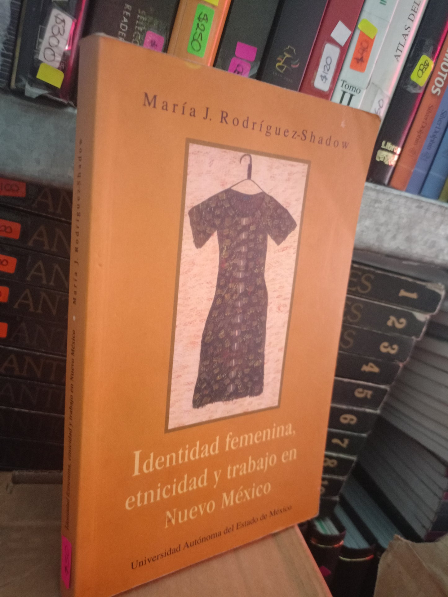 IDENTIDAD FEMENINA ETNICIDAD Y TRABAJO EN NUEVO MEXICO USADO SOCIOLOGIA LITERARIO 305