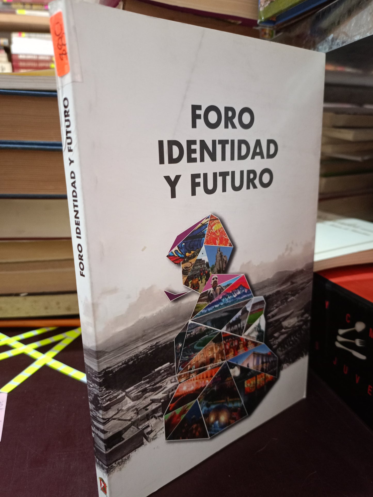 FORO IDENTIDAD Y FUTURO USADO HISTORIA LITERARIO 305