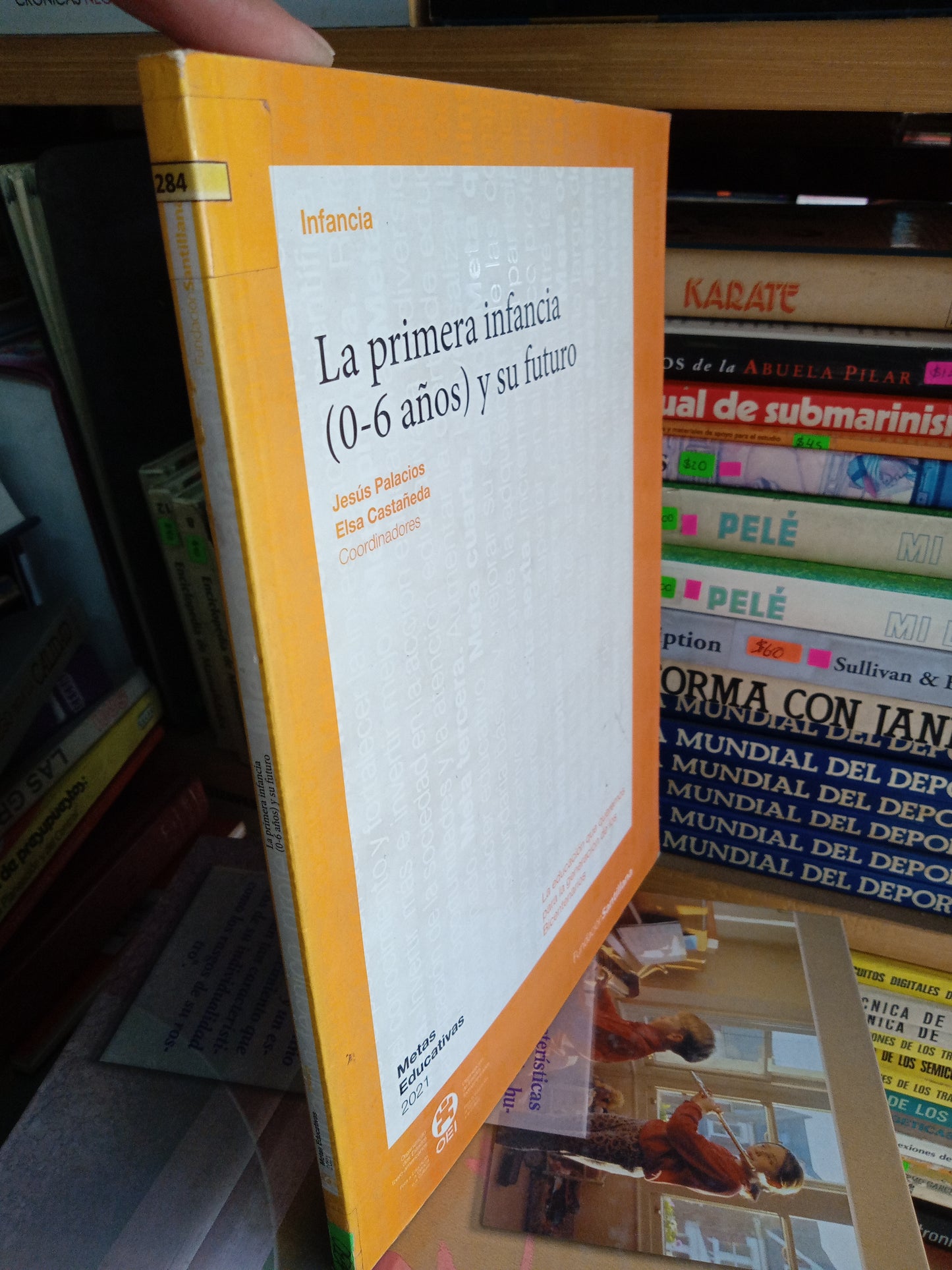 LA PRIMERA INFANCIA 0 A 6 AÑOS Y SU FUTURO POR JESUS PALACIOS USADO PSICOLOGÍA LITERARIO 207