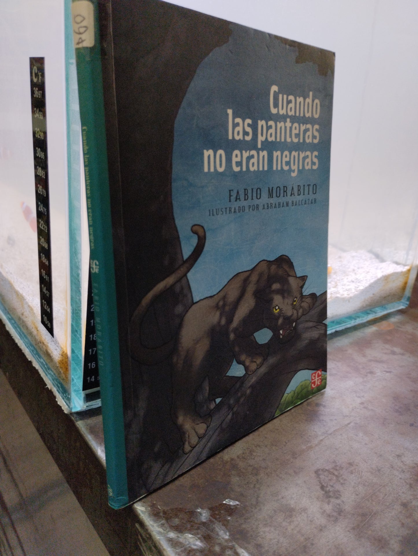 CUANDO LAS PANTERAS NO ERAN NEGRAS POR FABIO MORABITO USADO INFANTIL ALDAMA