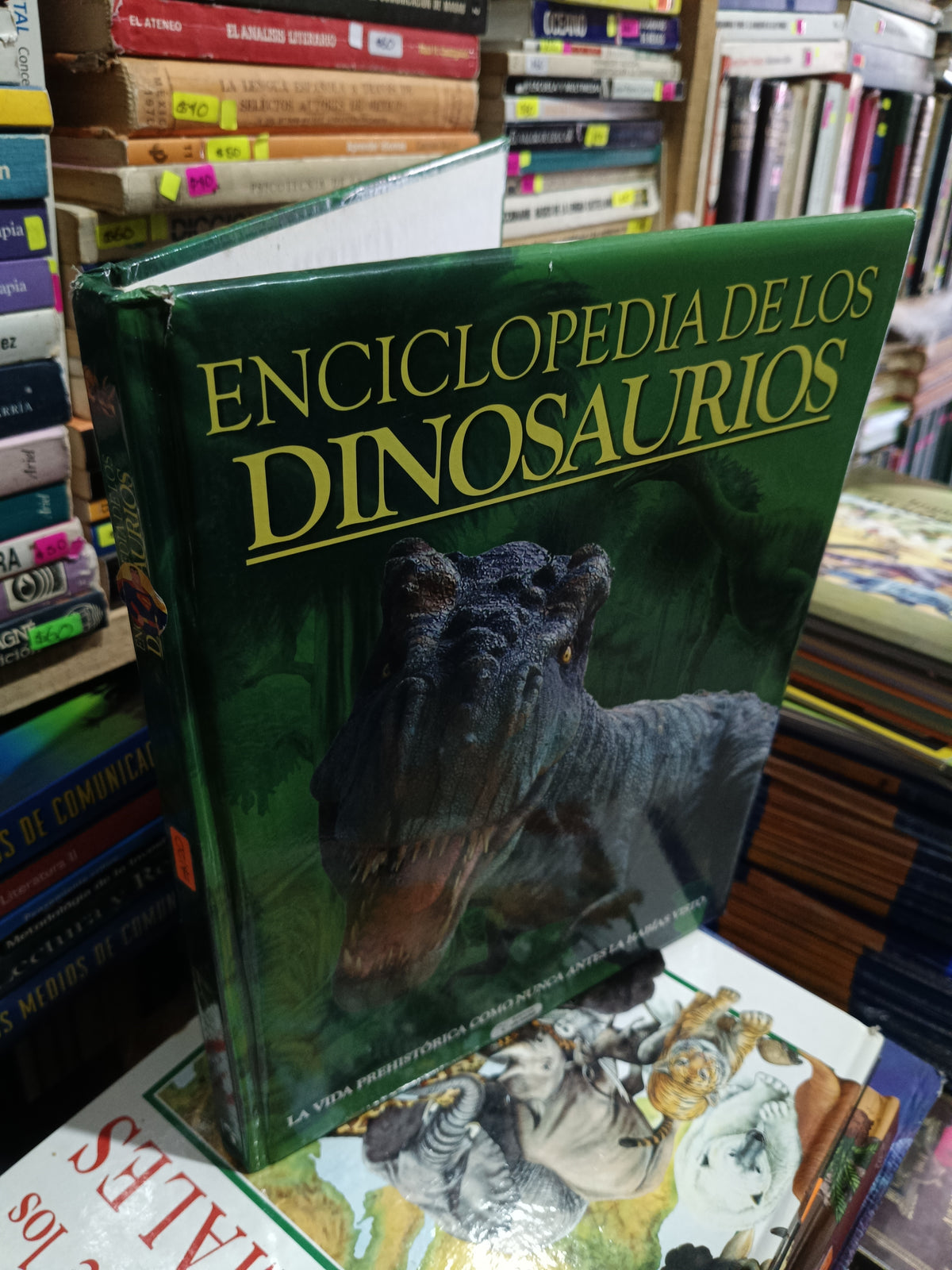 ENCICOLPEDIA DE LOS DINOSAURIOS USADO INFANTIL LITERARIO 305