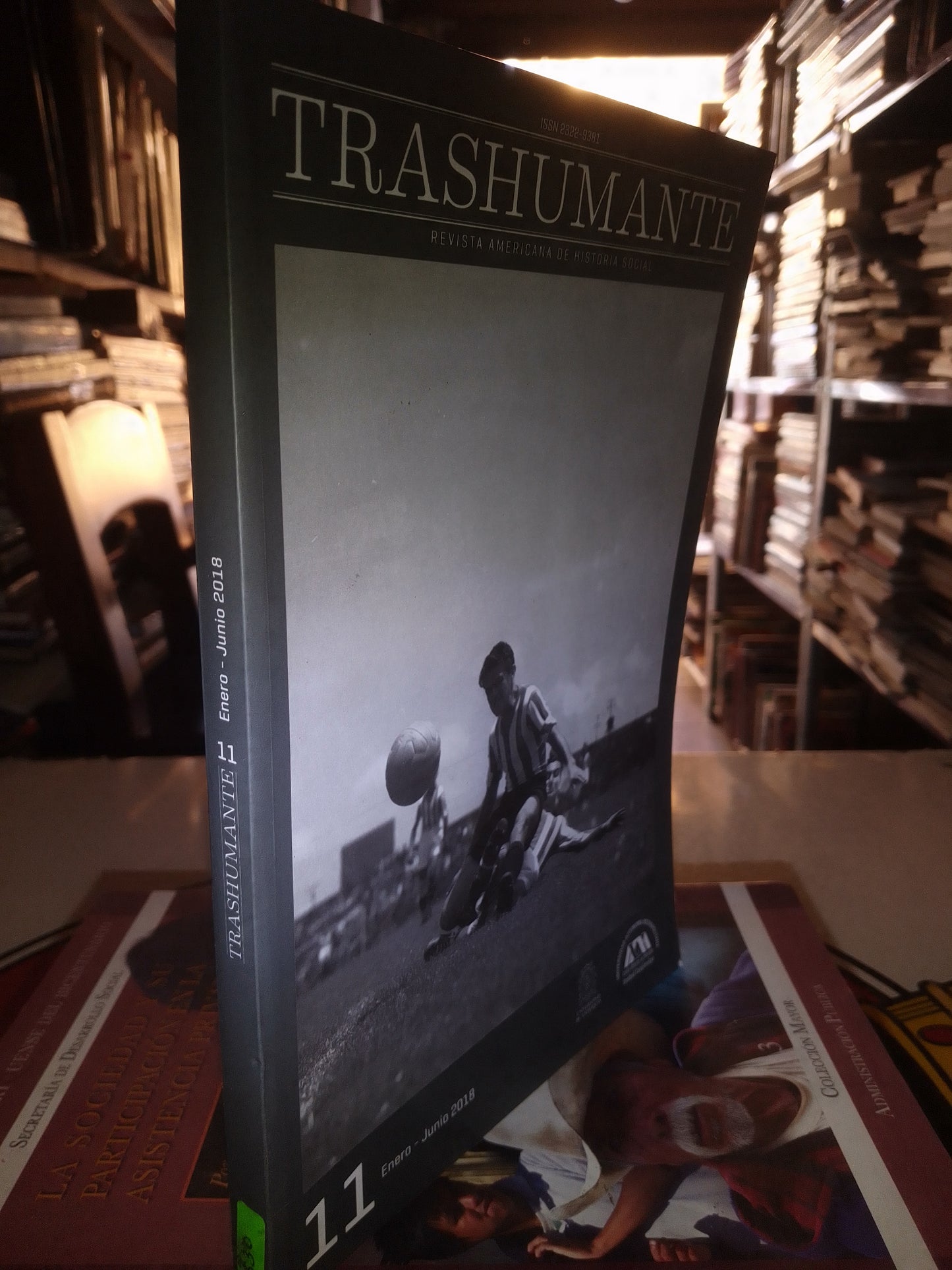 TRASHUMANTE REVISTA AMERICANA DE HISTORIA SOCIAL USADO SOCIOLOGÍA LITERARIO 207