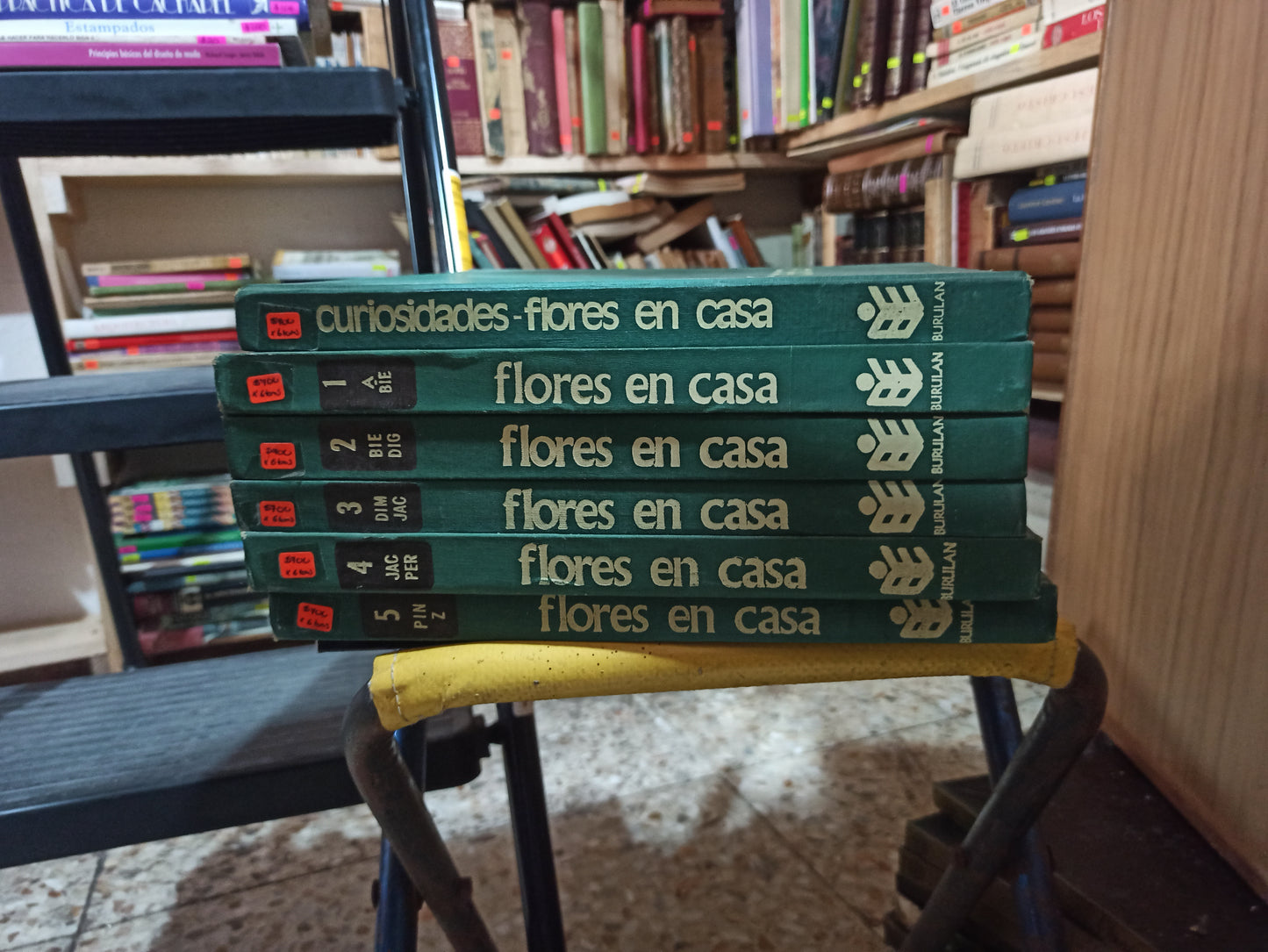 FLORES EN CASA 6 TOMOS POR $700 POR EDITORIAL BURULAN USADO OFICIOS ALDAMA
