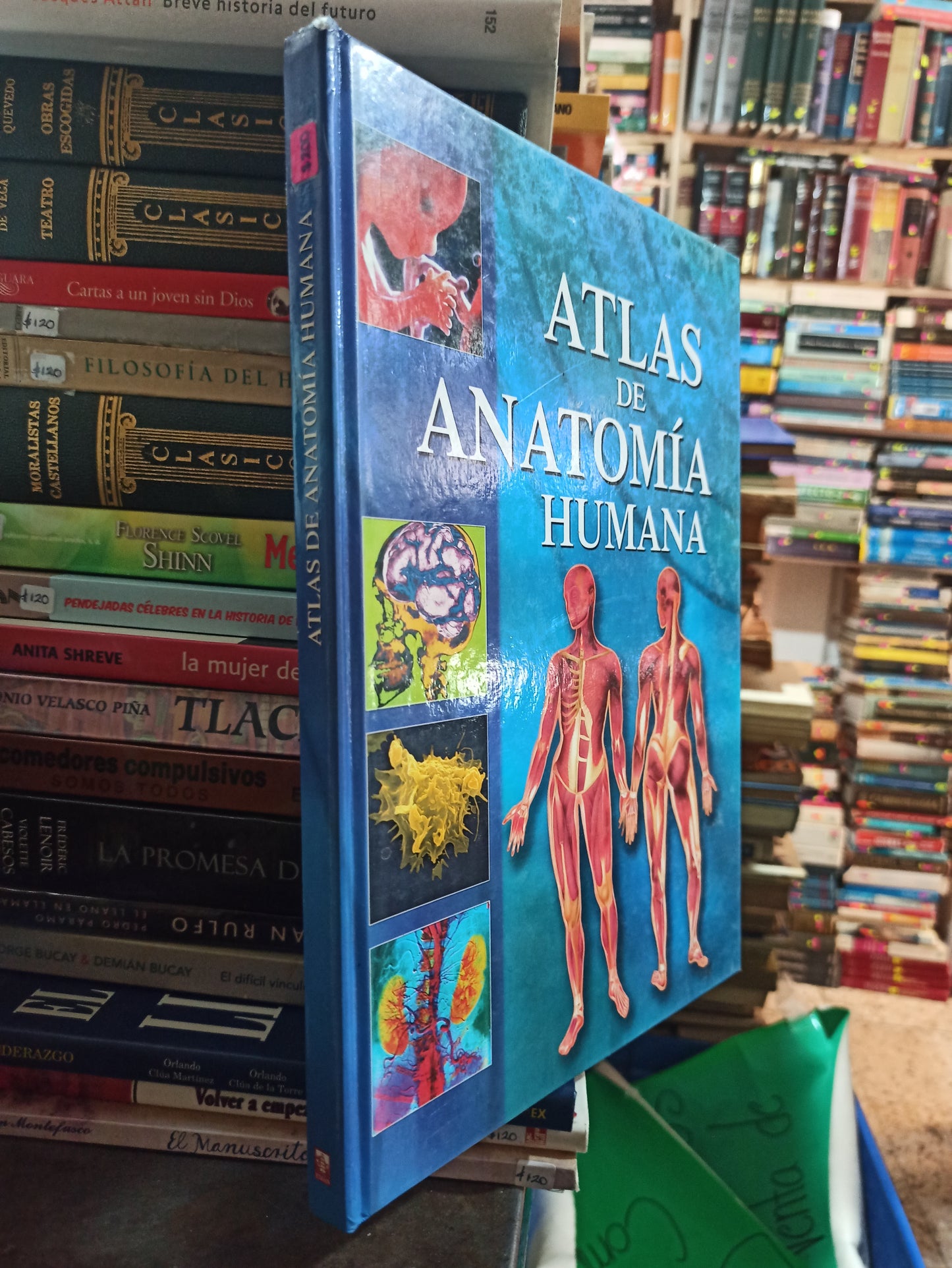 ATLAS DE ANATOMIA HUMANA POR EDITORIAL THEMA USADO SALUD ALDAMA