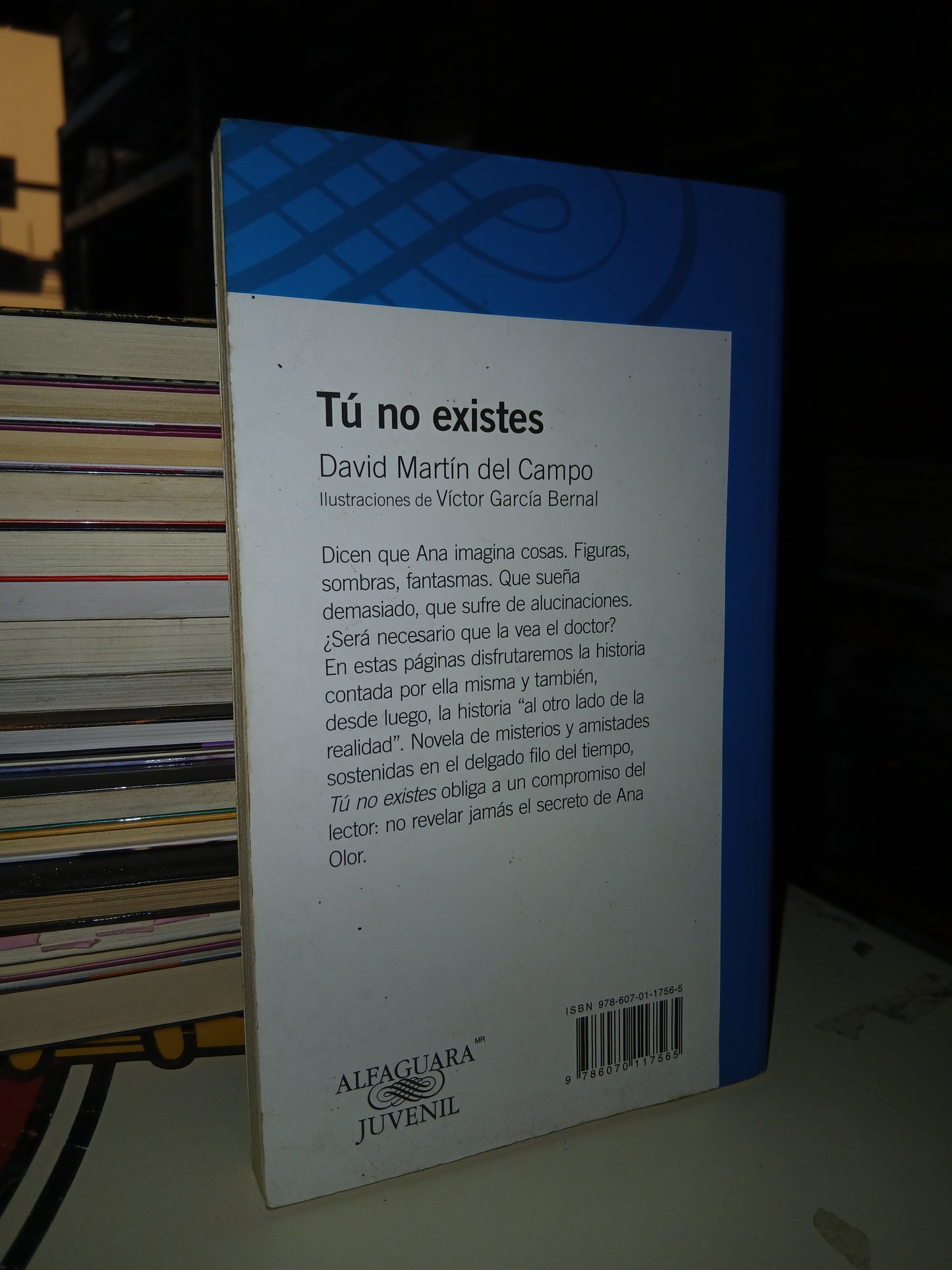 TÚ NO EXISTES POR DAVID MARTÍN DEL CAMPO USADO NOVELA LITERARIO 207