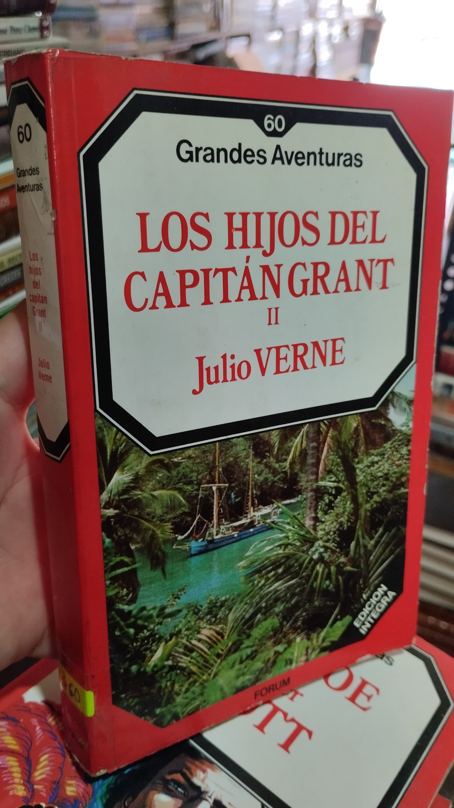 LOS HIJOS DEL CAPITAN GRANT II POR JULIO VERNE LIBRO USADO NOVELAS ALDAMA