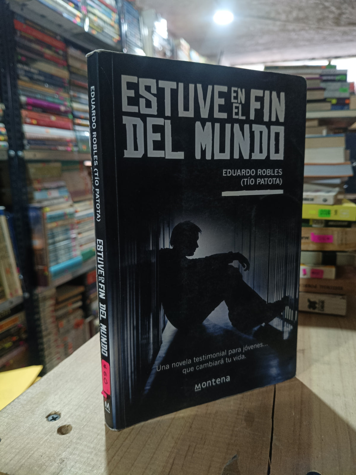 ESTUVE EN EL FIN DEL MUNDO POR EDUARDO ROBLES TIO PATOTA USADO NOVELA ALDAMA