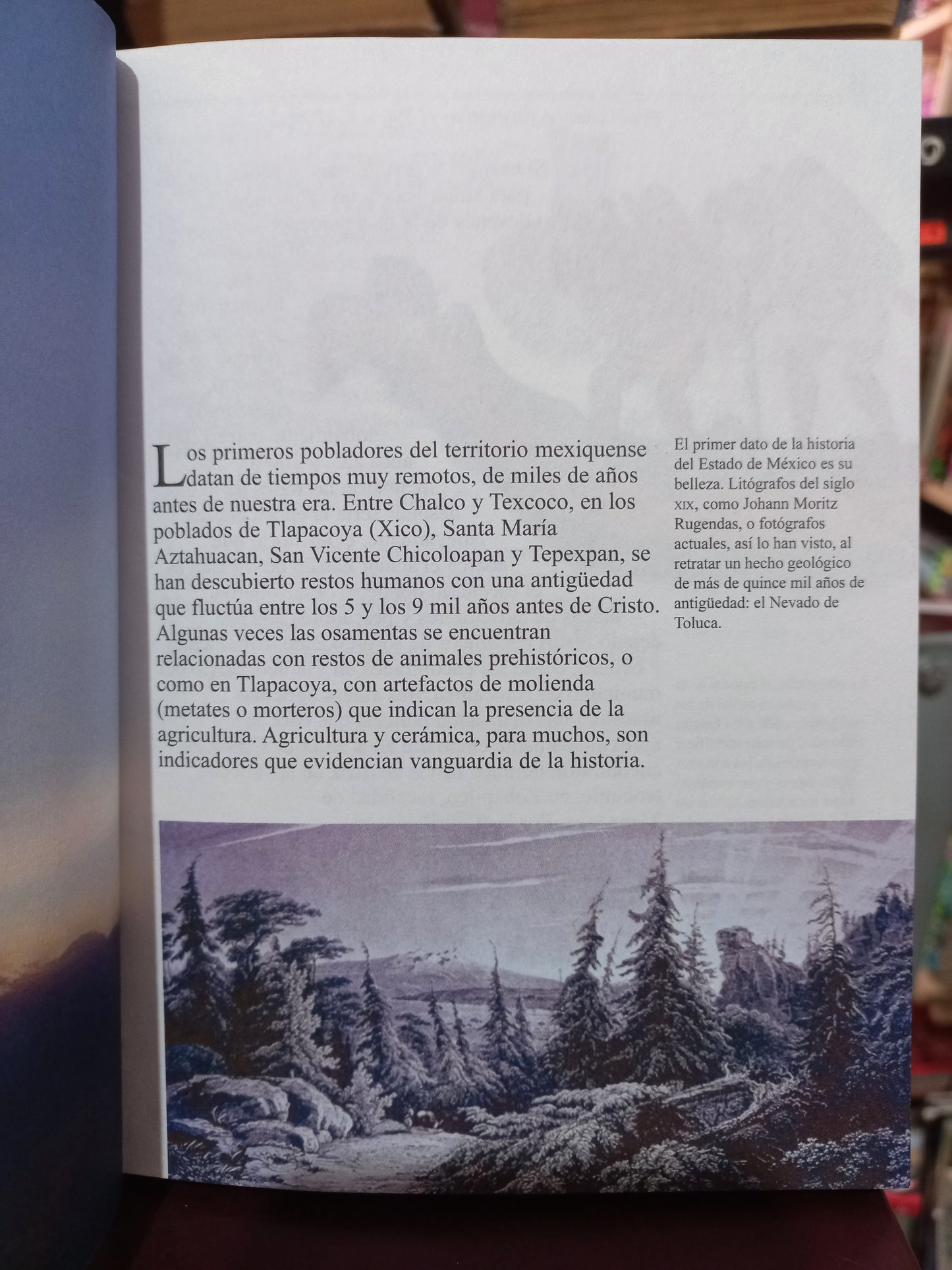 BREVE HISTORIA ILUSTRADA DEL ESTADO DE MEXICO POR MARIA TERESA JARQUIN ORTEGA Y CARLOS HERREJON PEREDO USADO HISTORIA LITERARIO 305